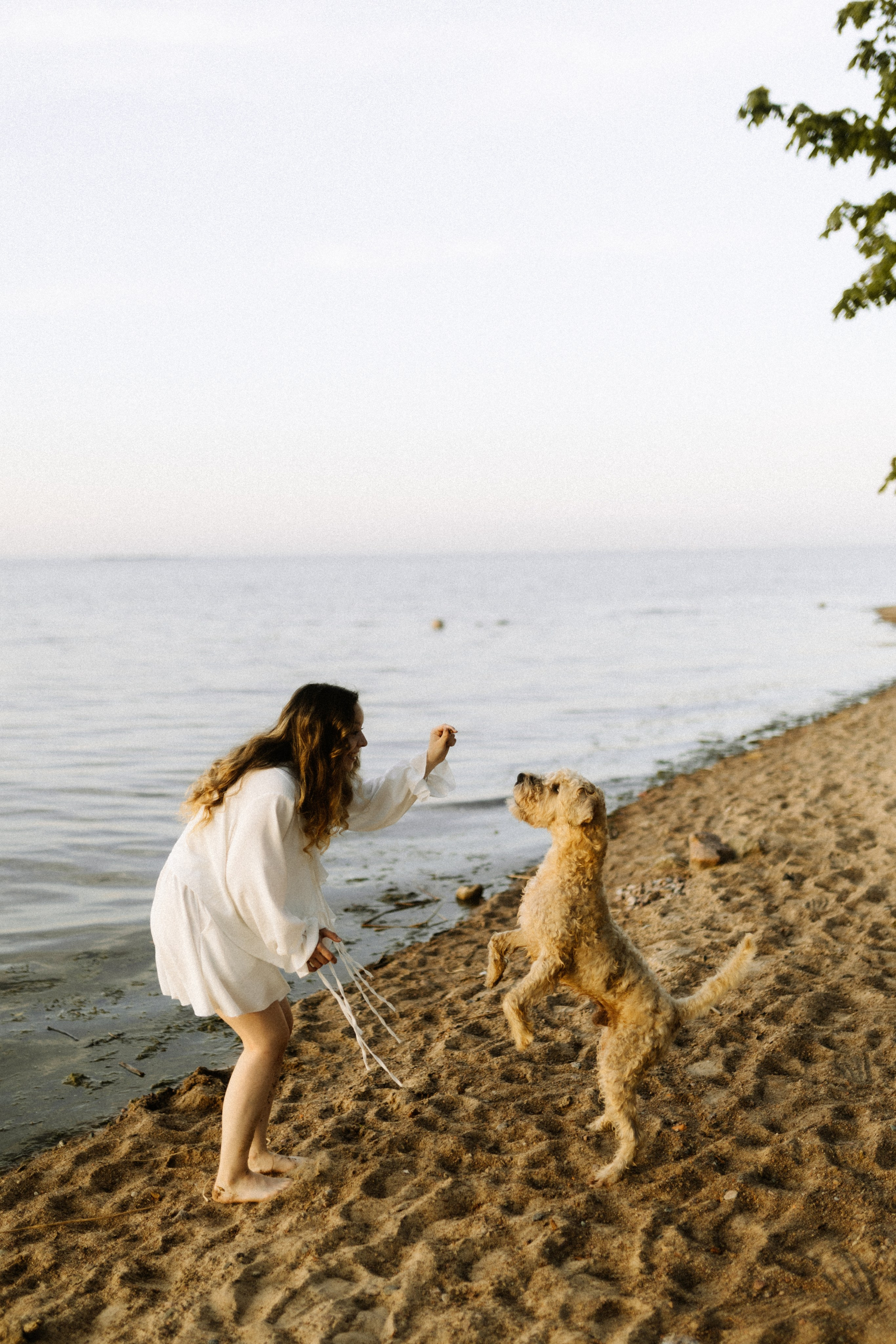 Аня, Влад и Джек. Фотограф в Санкт-Петербурге