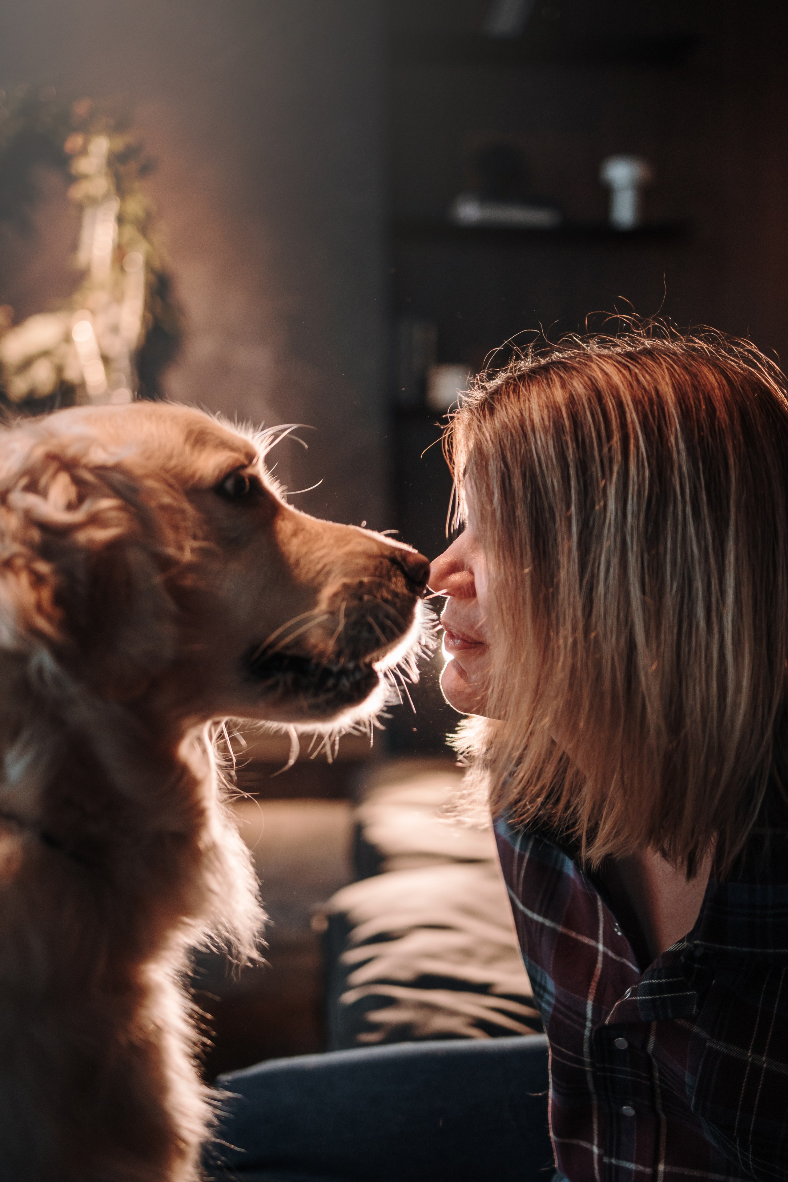 Вика и Рози. Фотограф — Анималист | Санкт-Петербург
