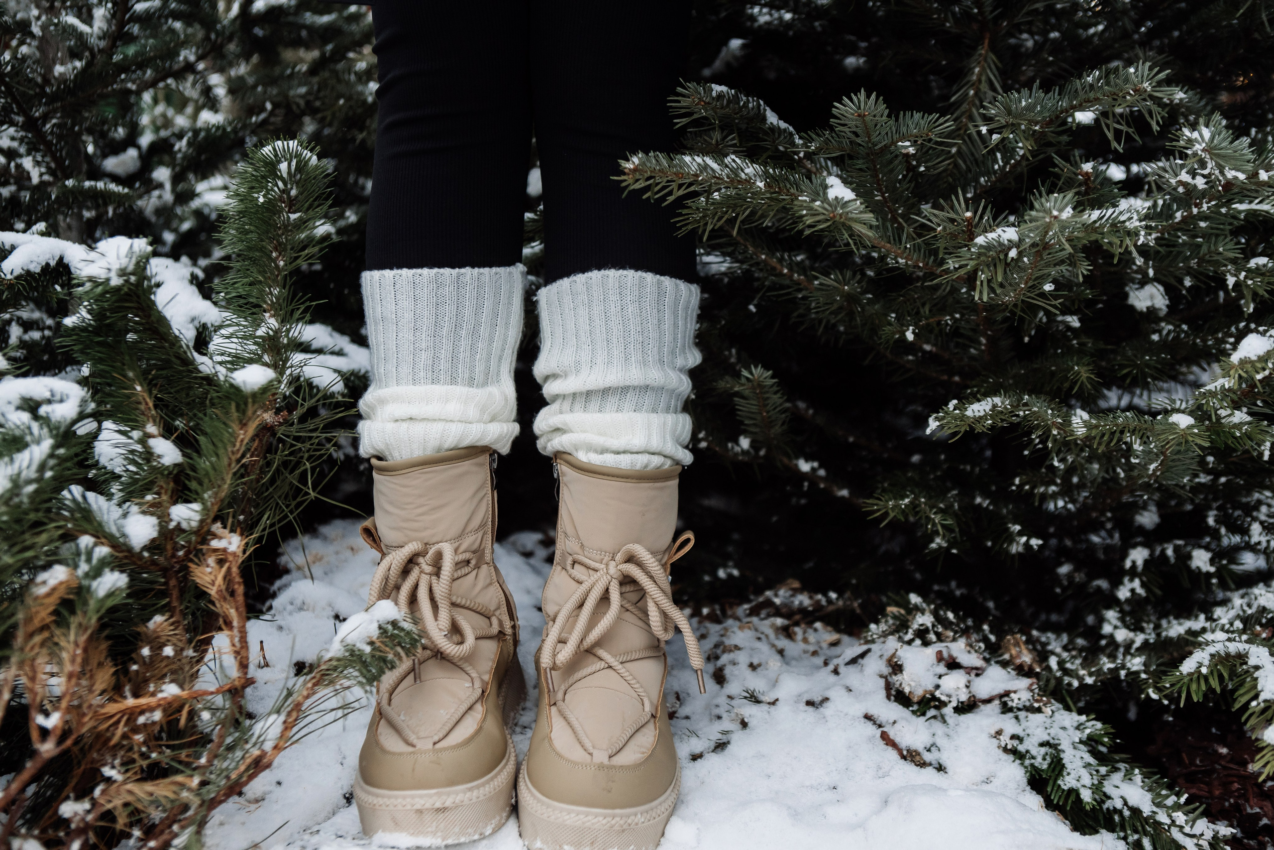 Новогодняя. Свадебный и семейный фотограф Чижова Алина