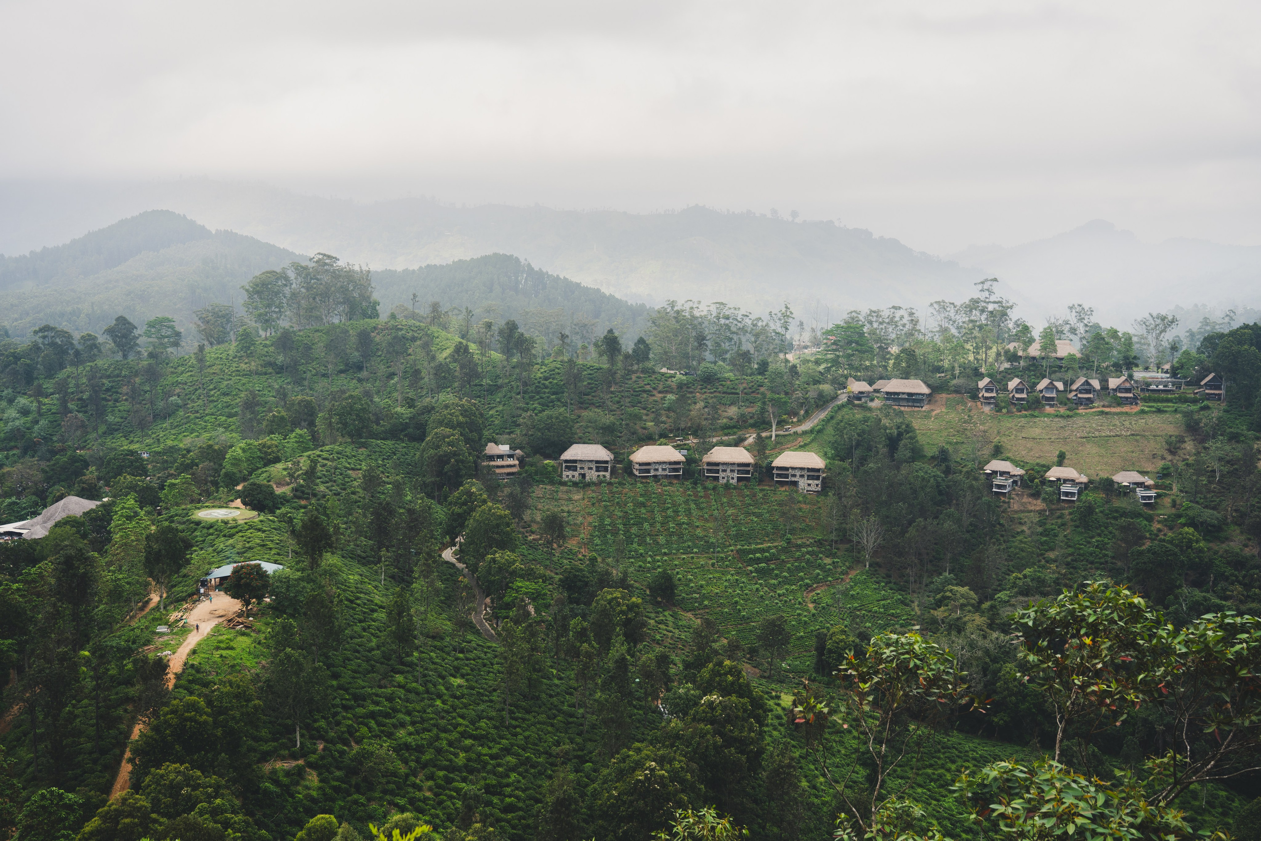 Шри-Ланка 2025. Легкая фотография