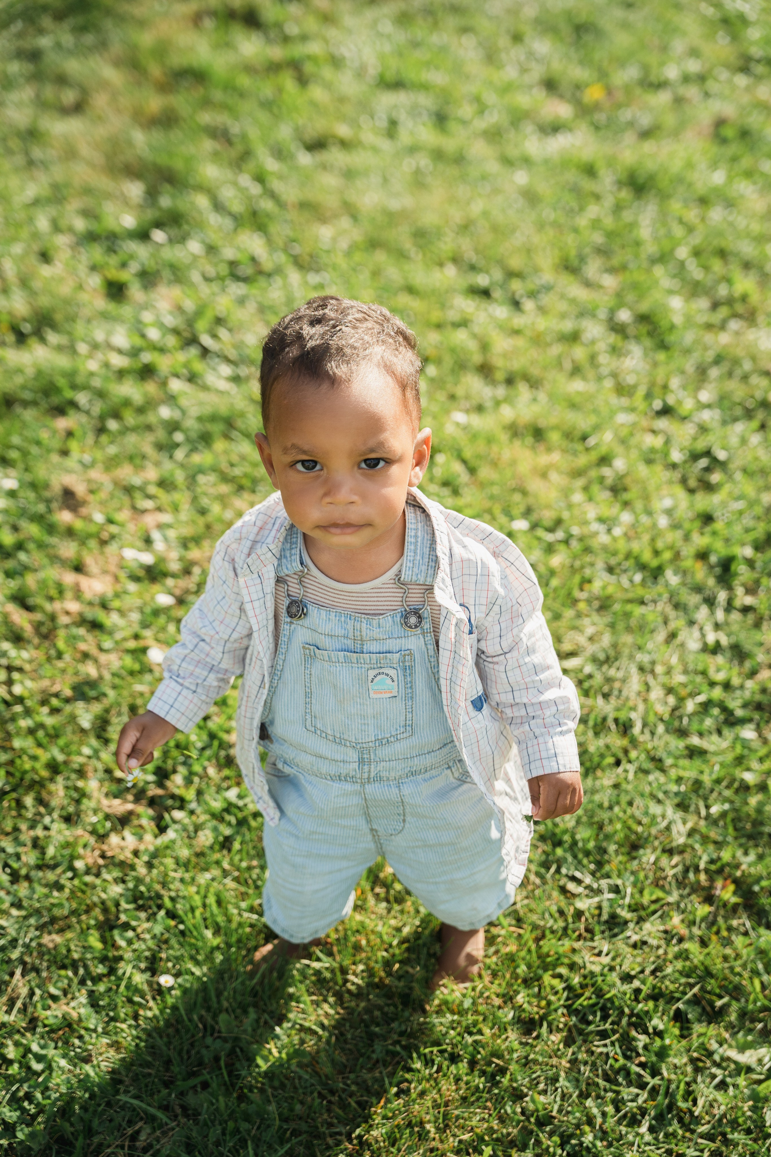 Родом из Англии. Главная