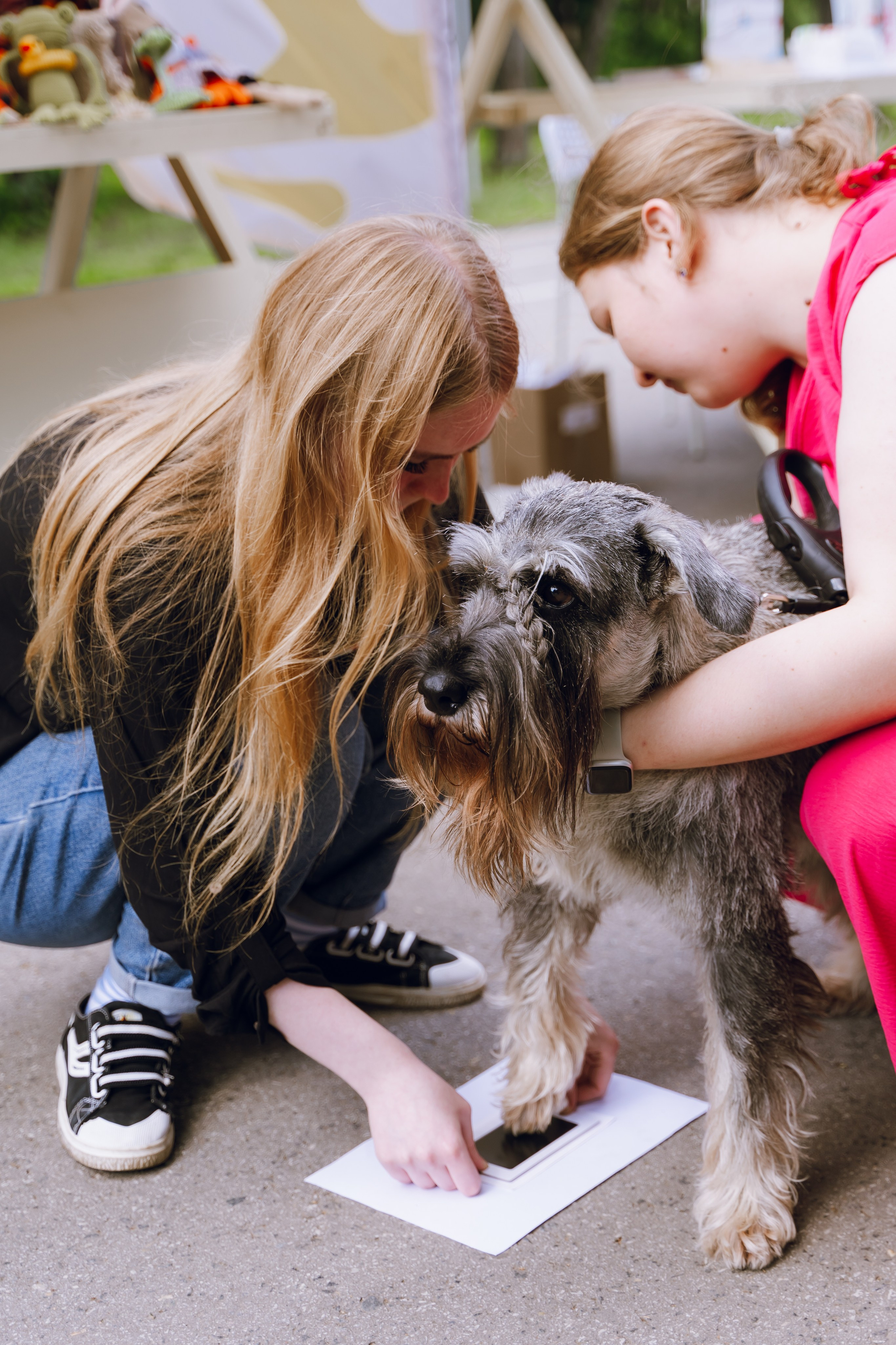 Площадка фестиваля «Мампус и его друзья» в Лесопарке 2025. Фотограф Надежда Погребняк | Рязань | Москва