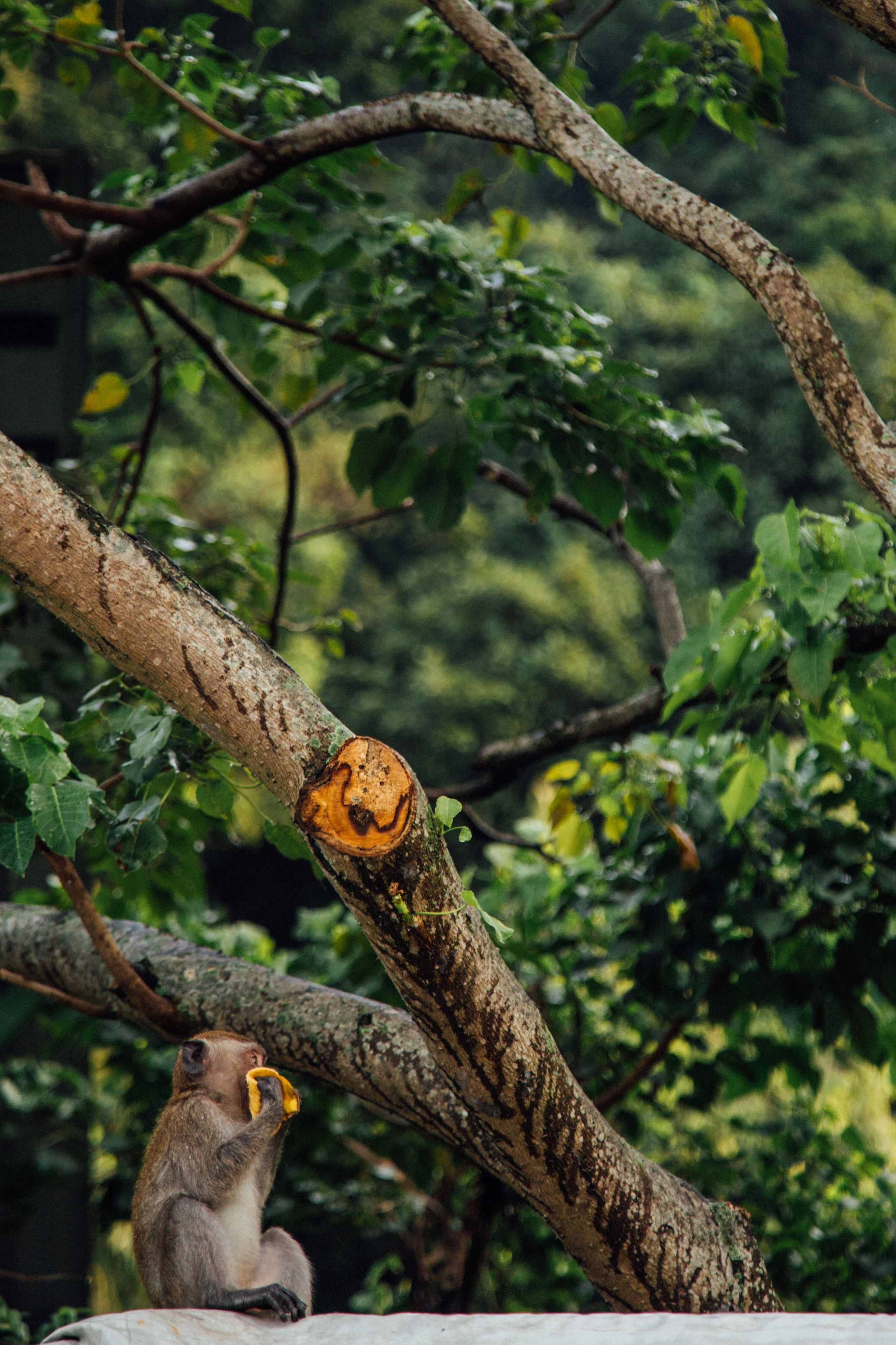 Kuala Lumpur, Malaysia. Главная