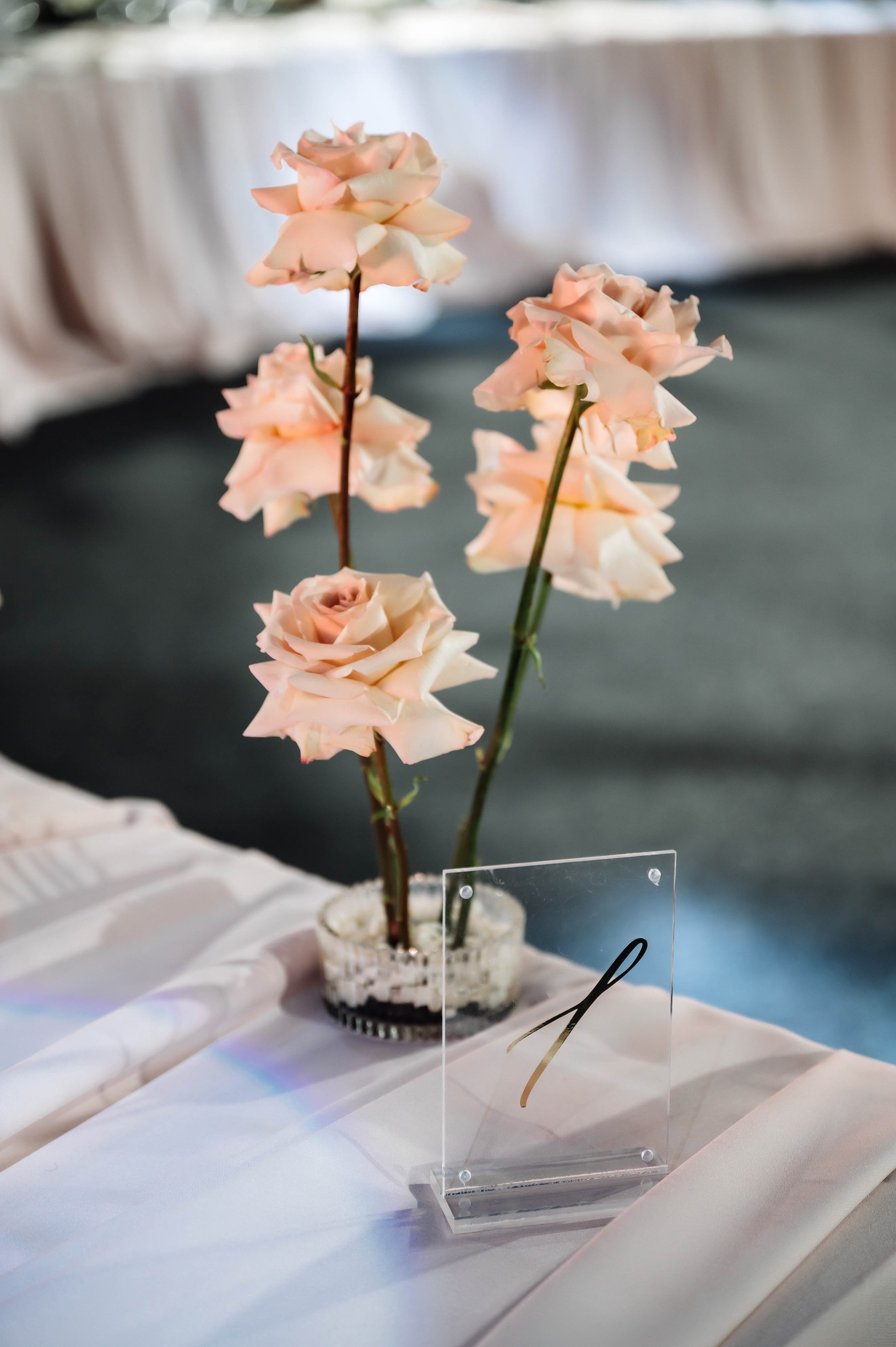 Дмитрий и Марина. Свадебный фотограф в Красноярске Маргарита Синицкая