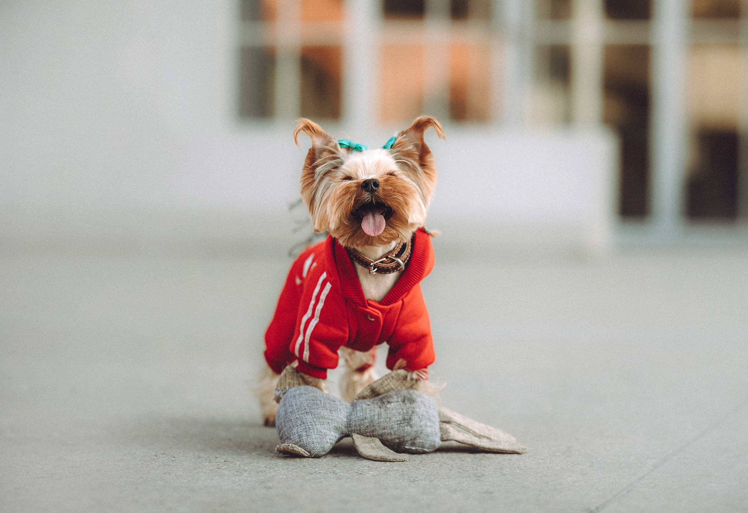 Дженни, Оливия и их семья