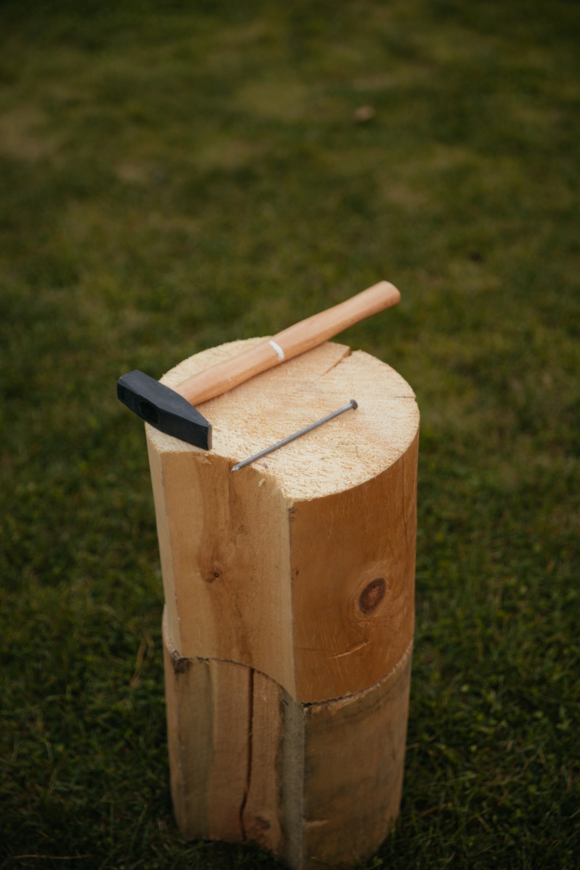 Николай и Татьяна. Фотограф Барнаул Полина Теплова