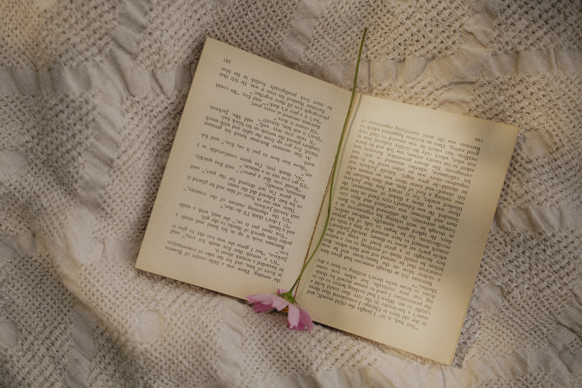 Мы вместе учили английский…. Свадебный и семейный фотограф в Абакане Василевский Алексей