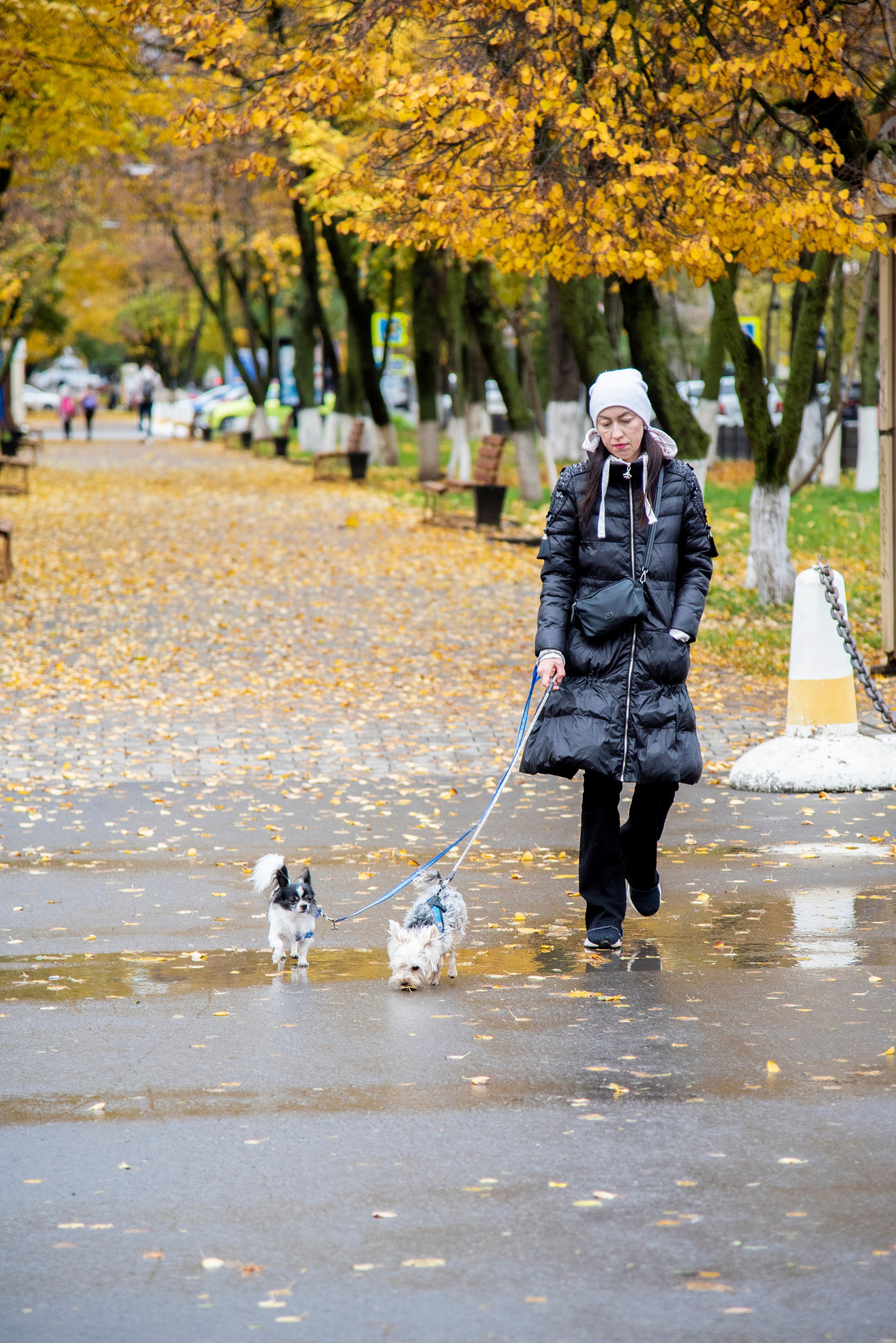 Каменск 22 (часть 1). Фотограф Вадим Хмурковский