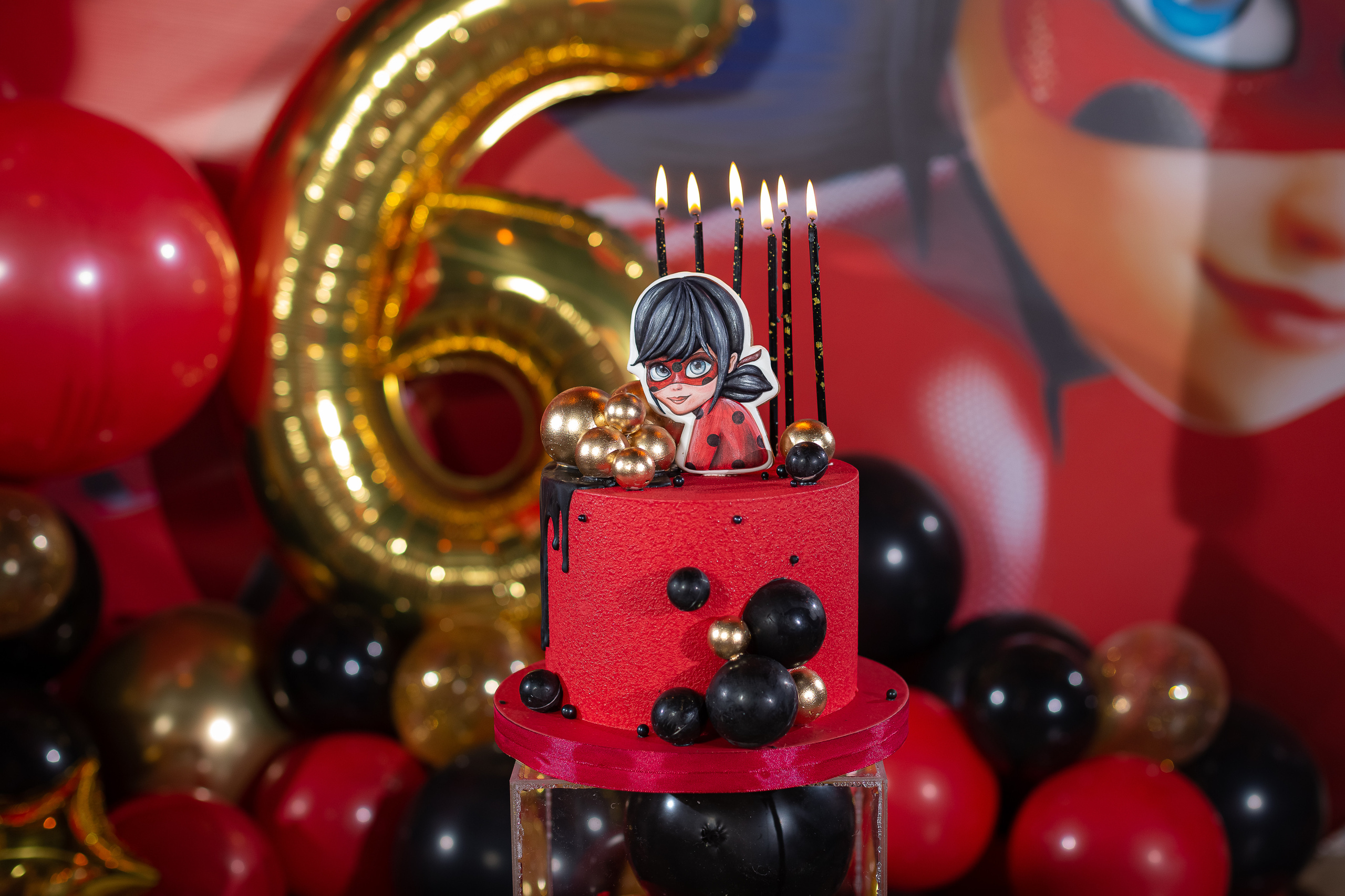 День рождения Насти в стиле «Леди Баг». Семейный и детский фотограф Комина Елена, Власиха, Одинцово