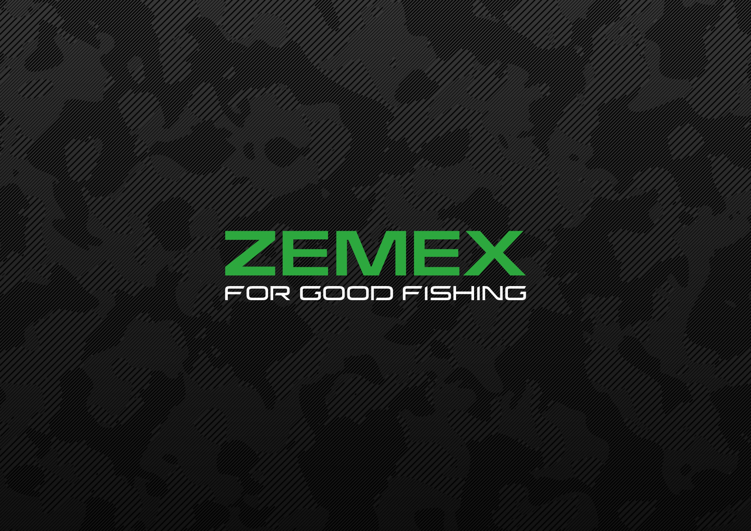 Презентация ZEMEX. MoshaDesign