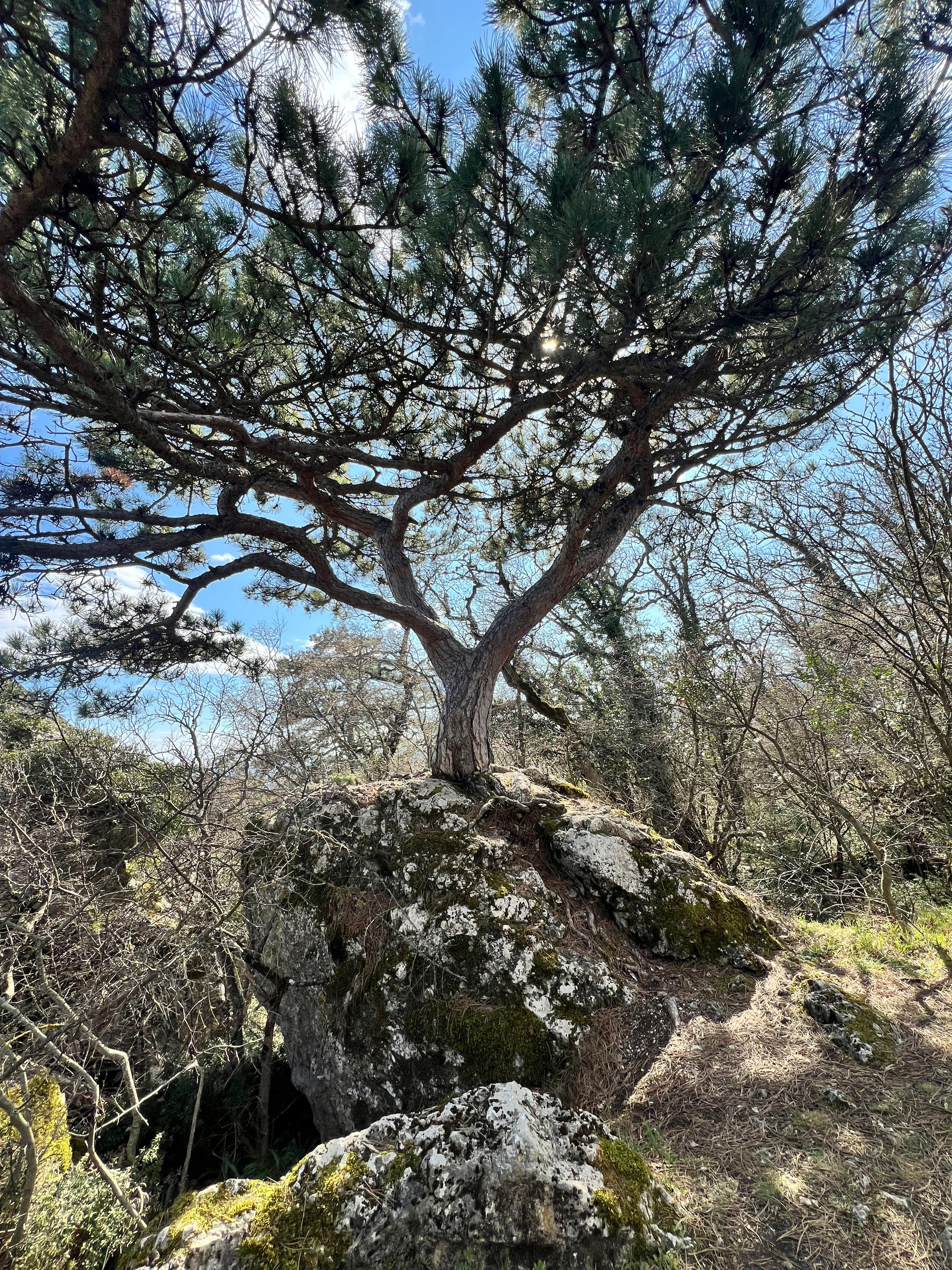 Горный Крым. Путешествия со смыслом