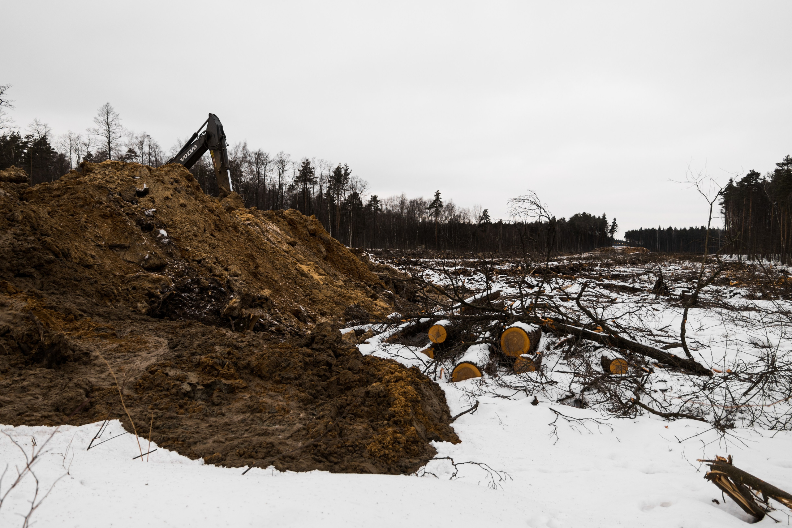 Я здесь живу. DASHA KALNINA