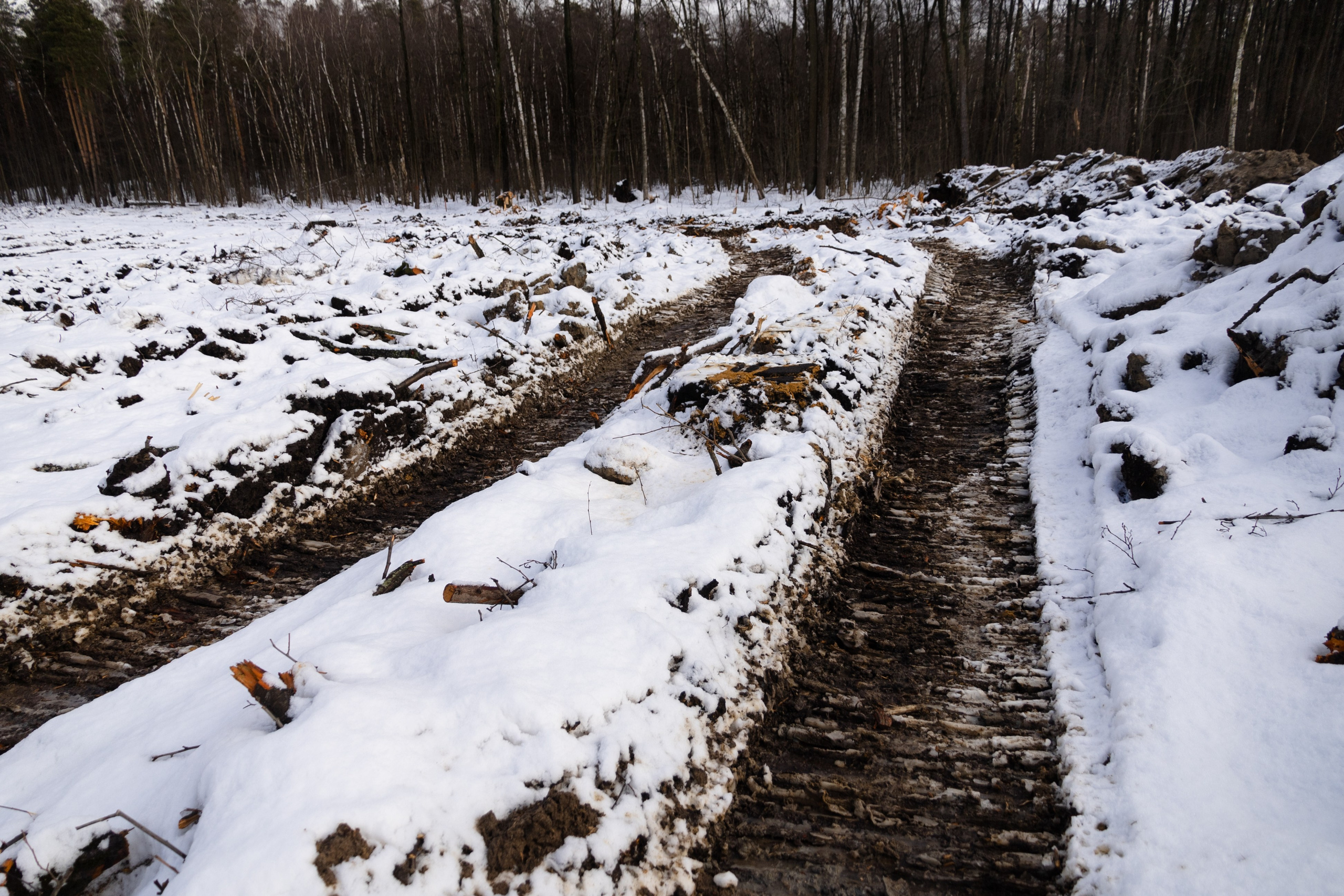 Я здесь живу. DASHA KALNINA