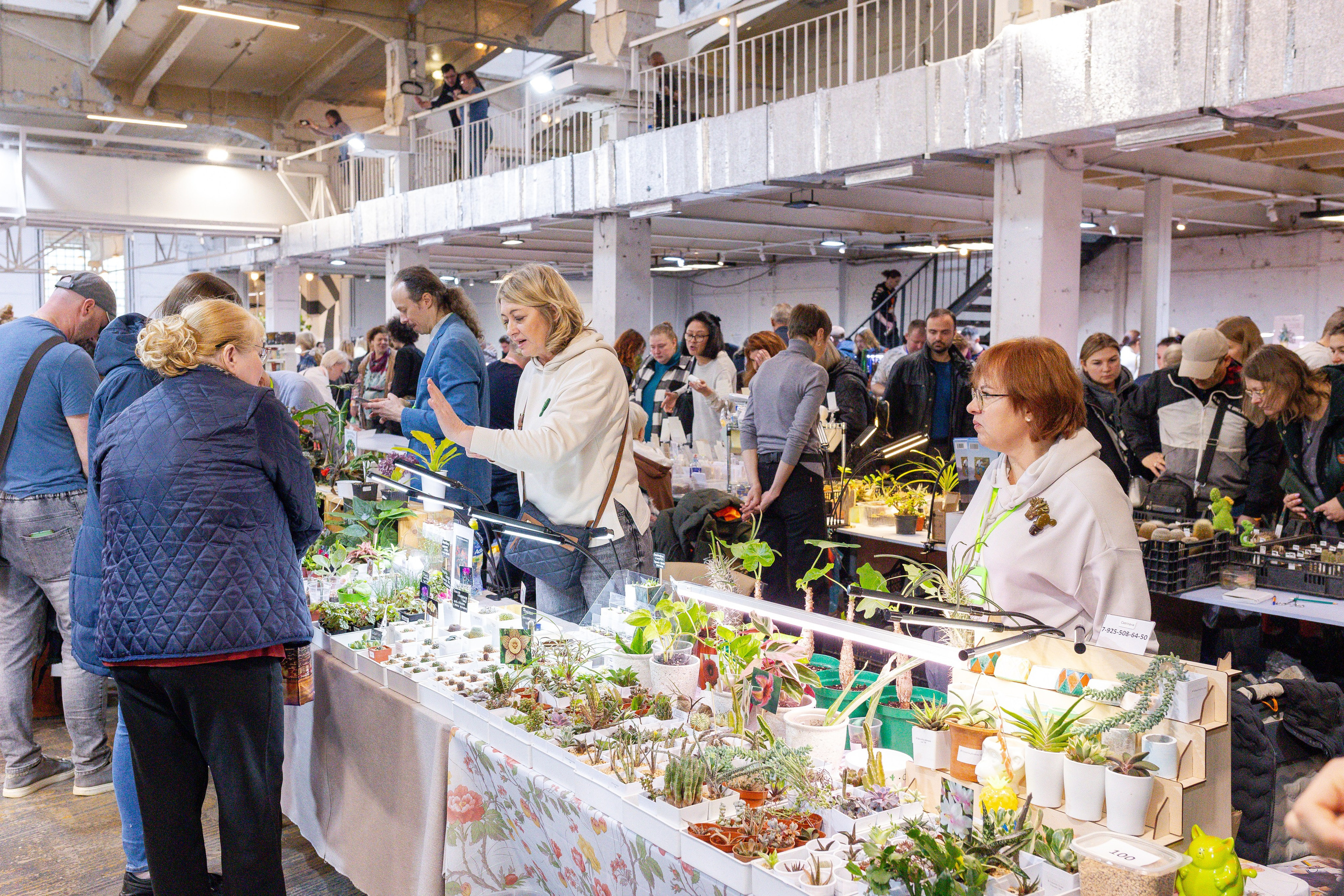 Кактус Фест. Александра Куликова фотограф, Москва