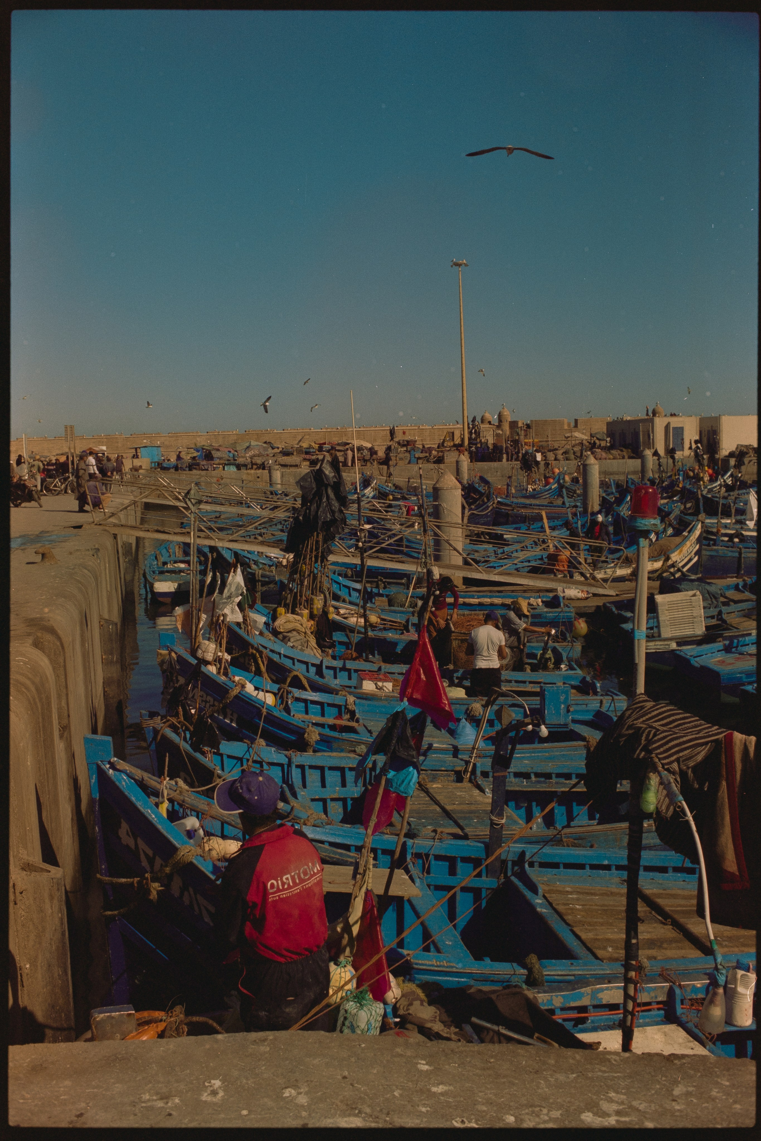 Марокко (плёнка Алёны). Игорь Гичка. Портрет с любовью