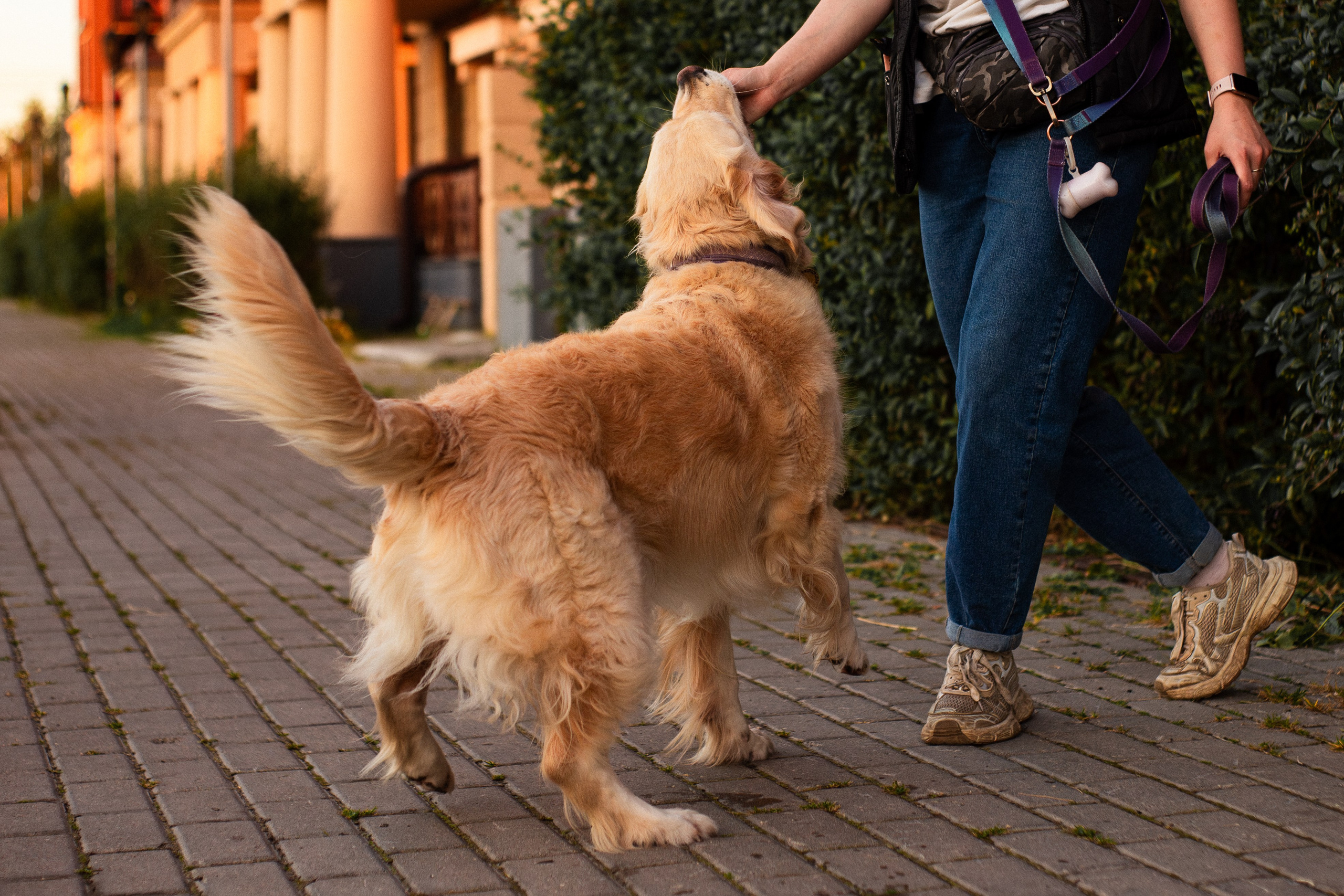 Юля и Мэй. Фотограф-анималист Мария Баркевич | Москва