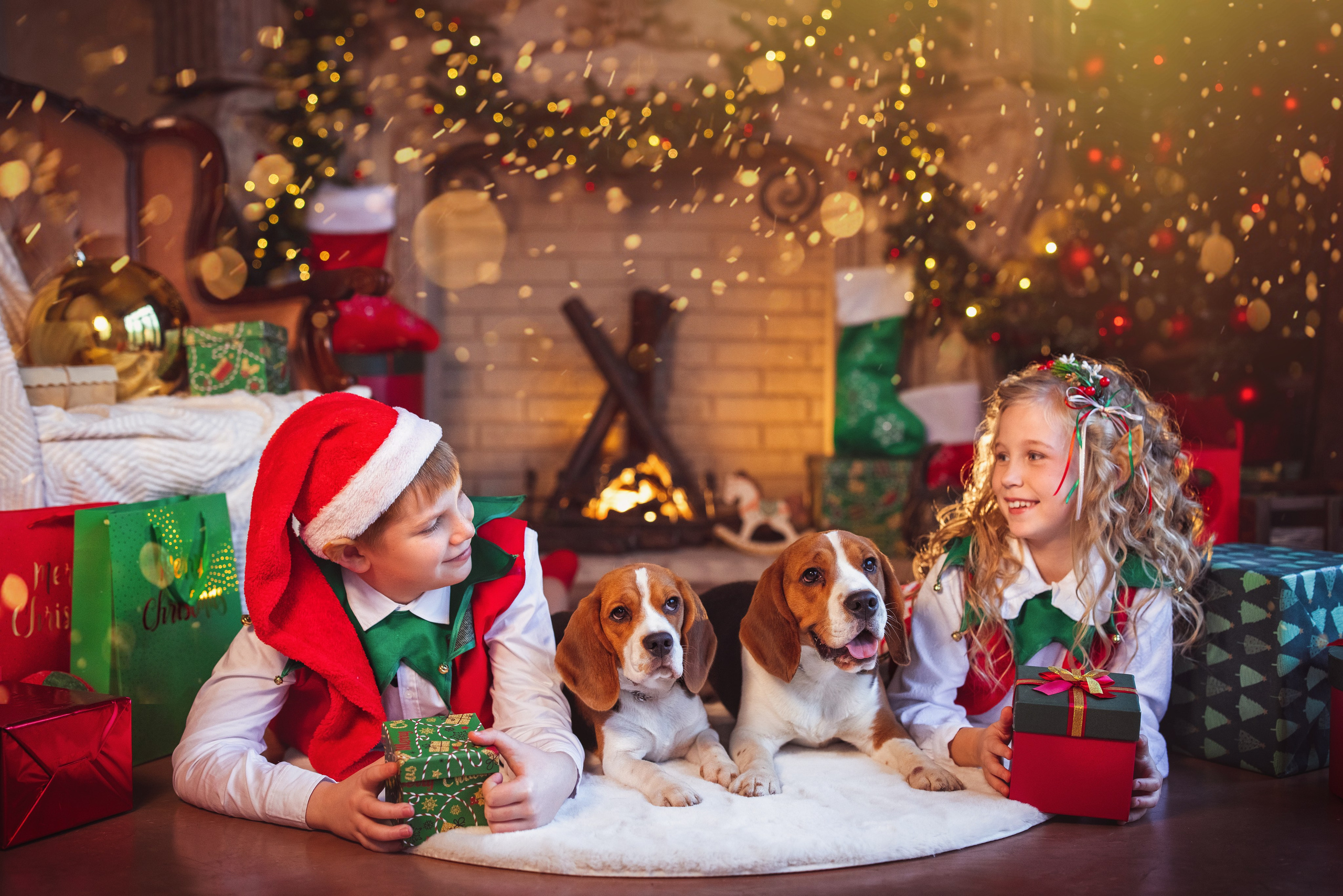 Новогодние ЭЛЬФЫ. Семейный и детский фотограф в Краснодаре Анна Трашкова