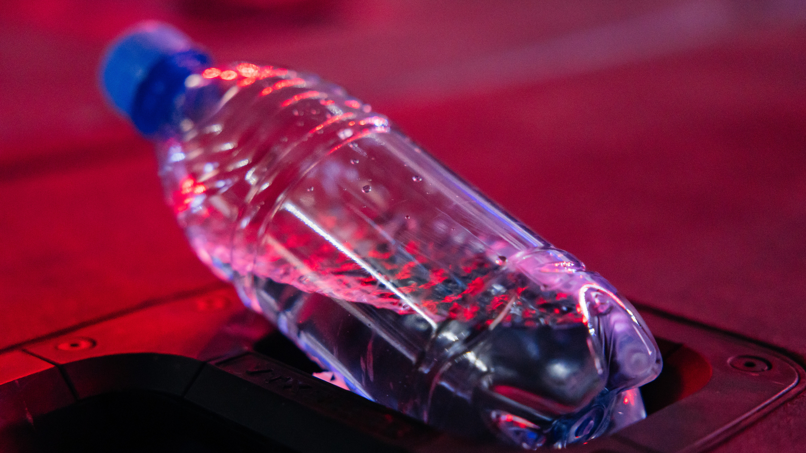 BEU Fest. Профессиональный фотограф в городе Астана/Алматы Даурен Сембаев