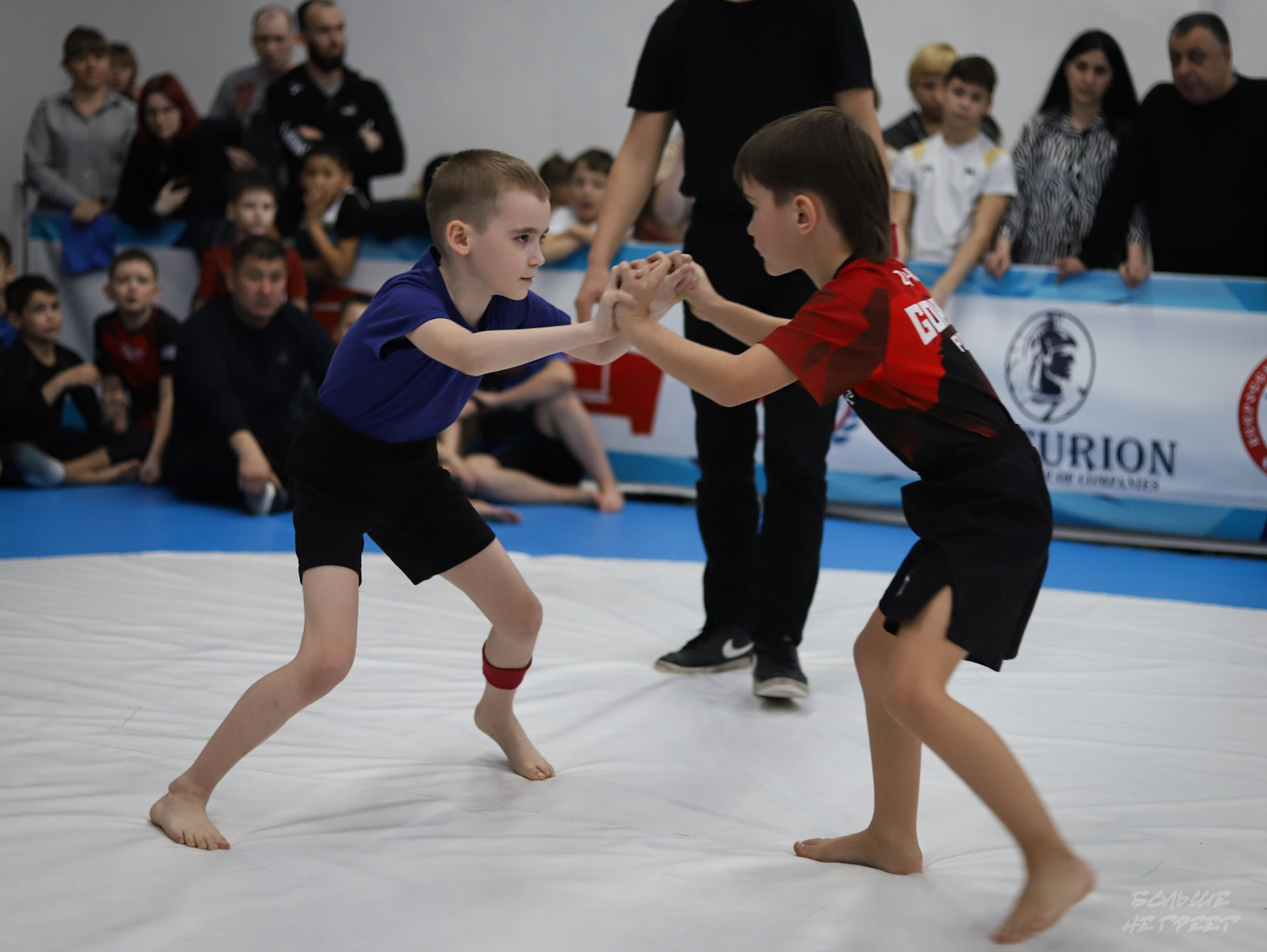 GORILLA PRIDE CUP. Больше не греет