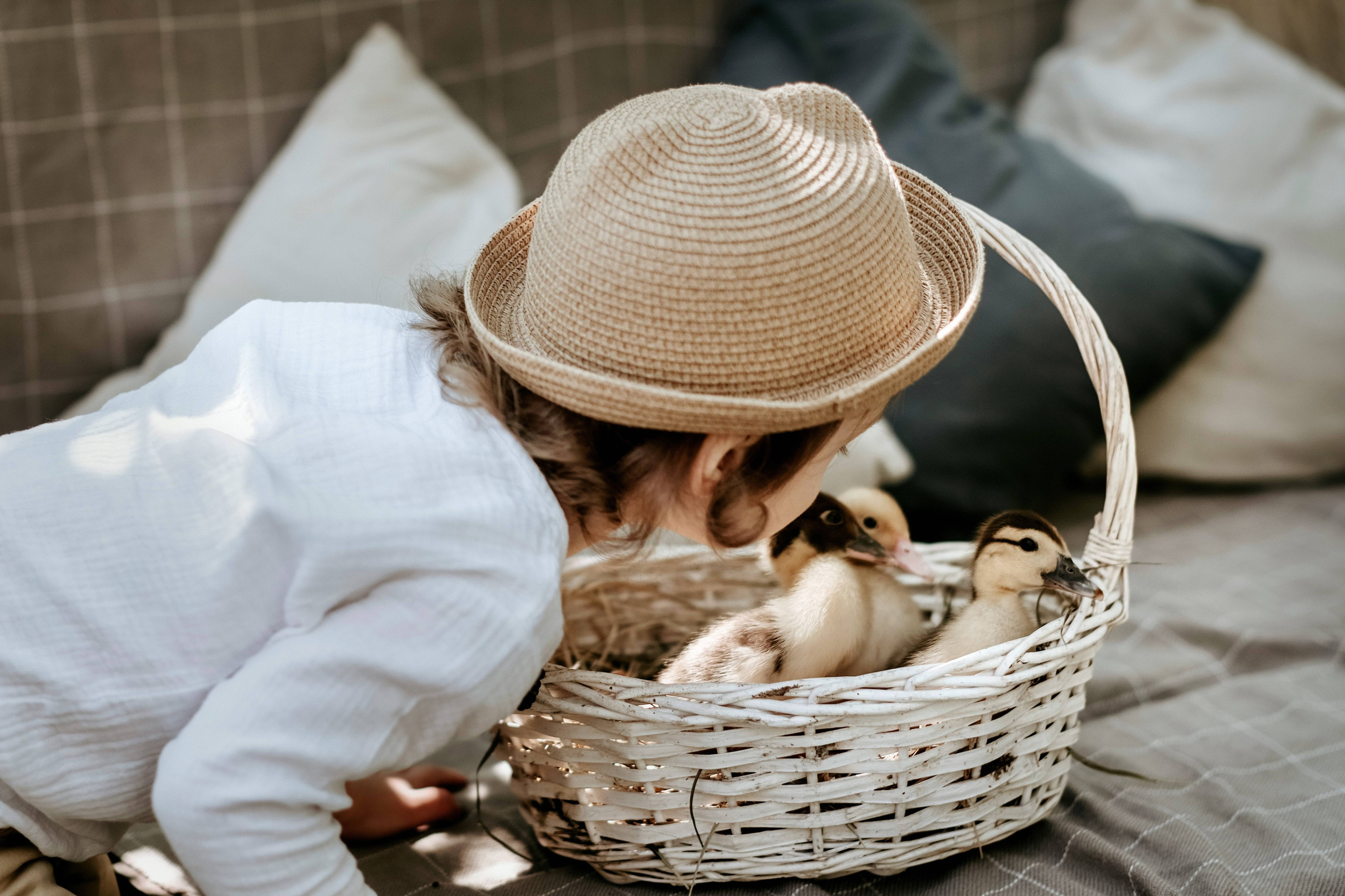 Фотосессия с утятами. Семейный и детский фотограф в Ростове-на-Дону Ольга Есенина