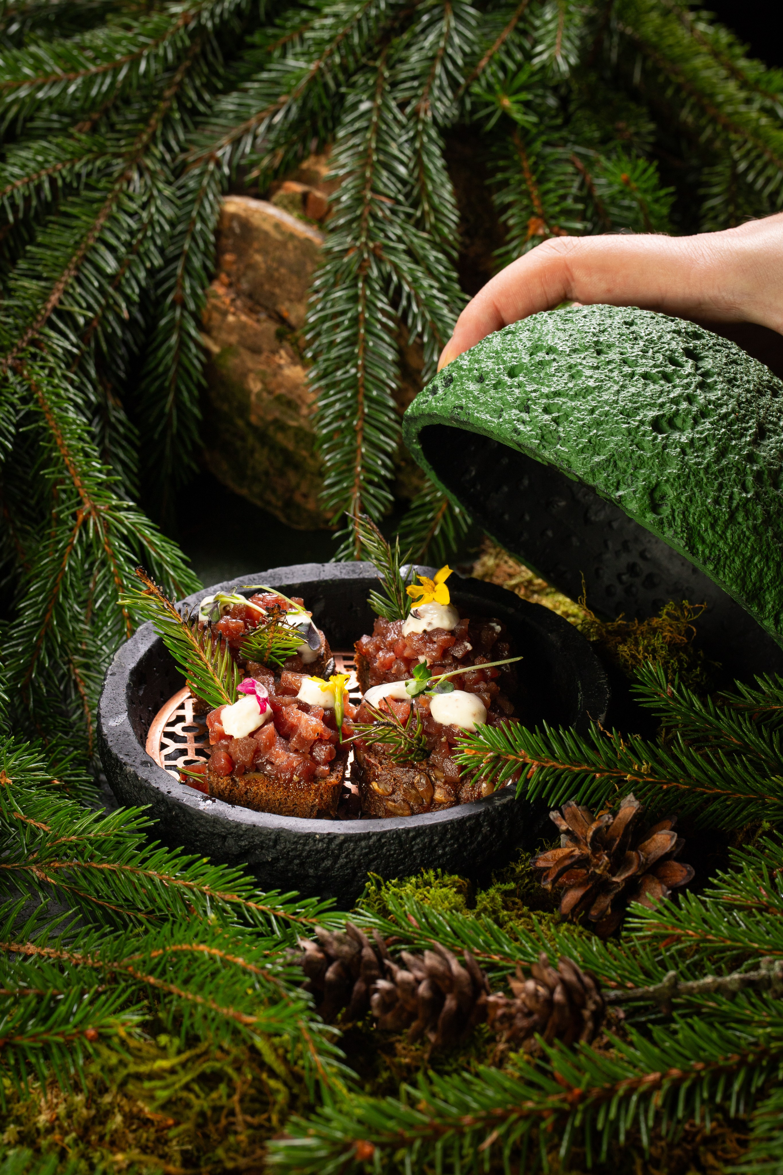 Тар-тар из мяса в лесной композиции. Подача с еловыми ветками.