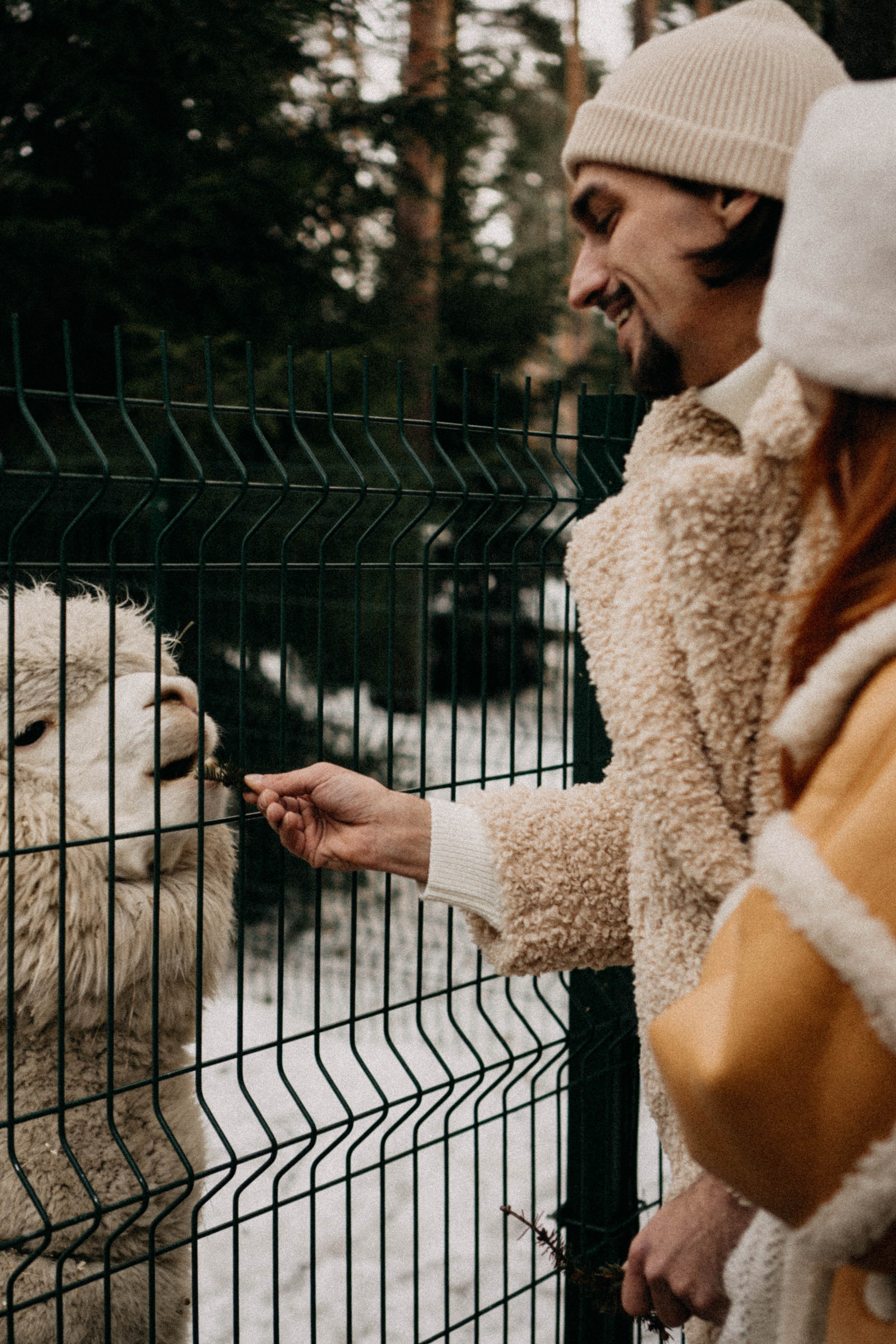 Каток. Профессиональный фотограф, Санкт-Петербург — Виктория Богомолова