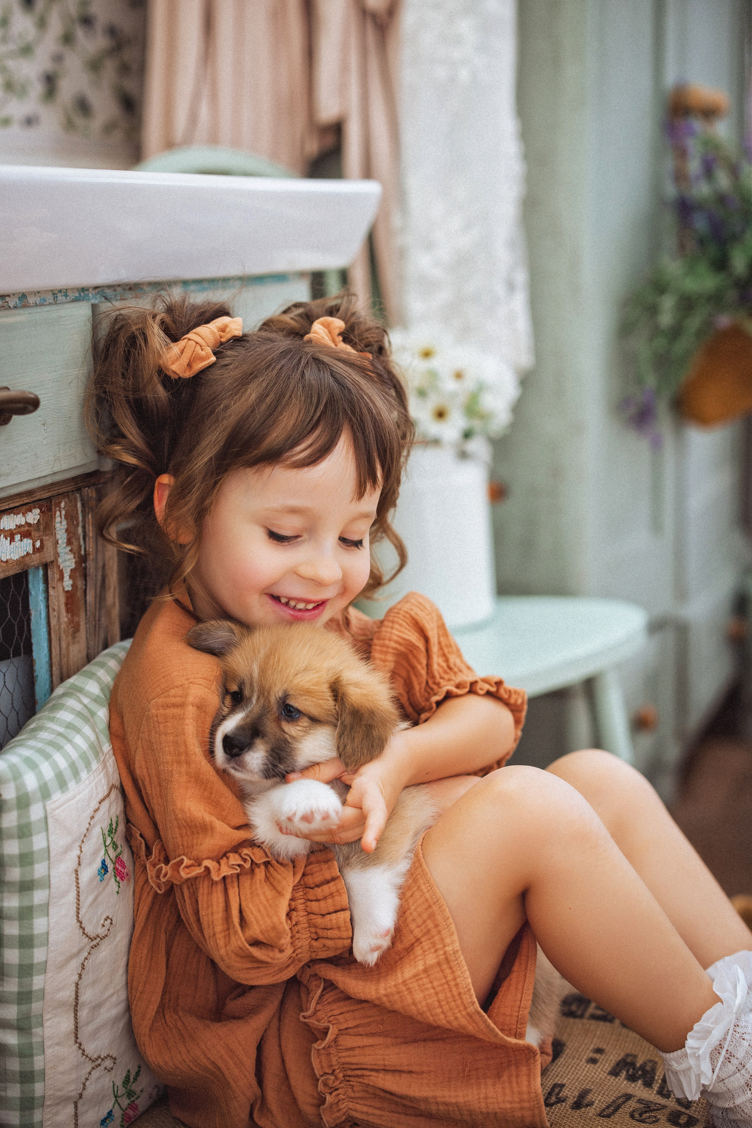 Фотосессия с щенками Корги, в фотостудии Ольги Сурухановой, город Краснодар. Семейный и детский фотограф в Краснодаре Анна Трашкова