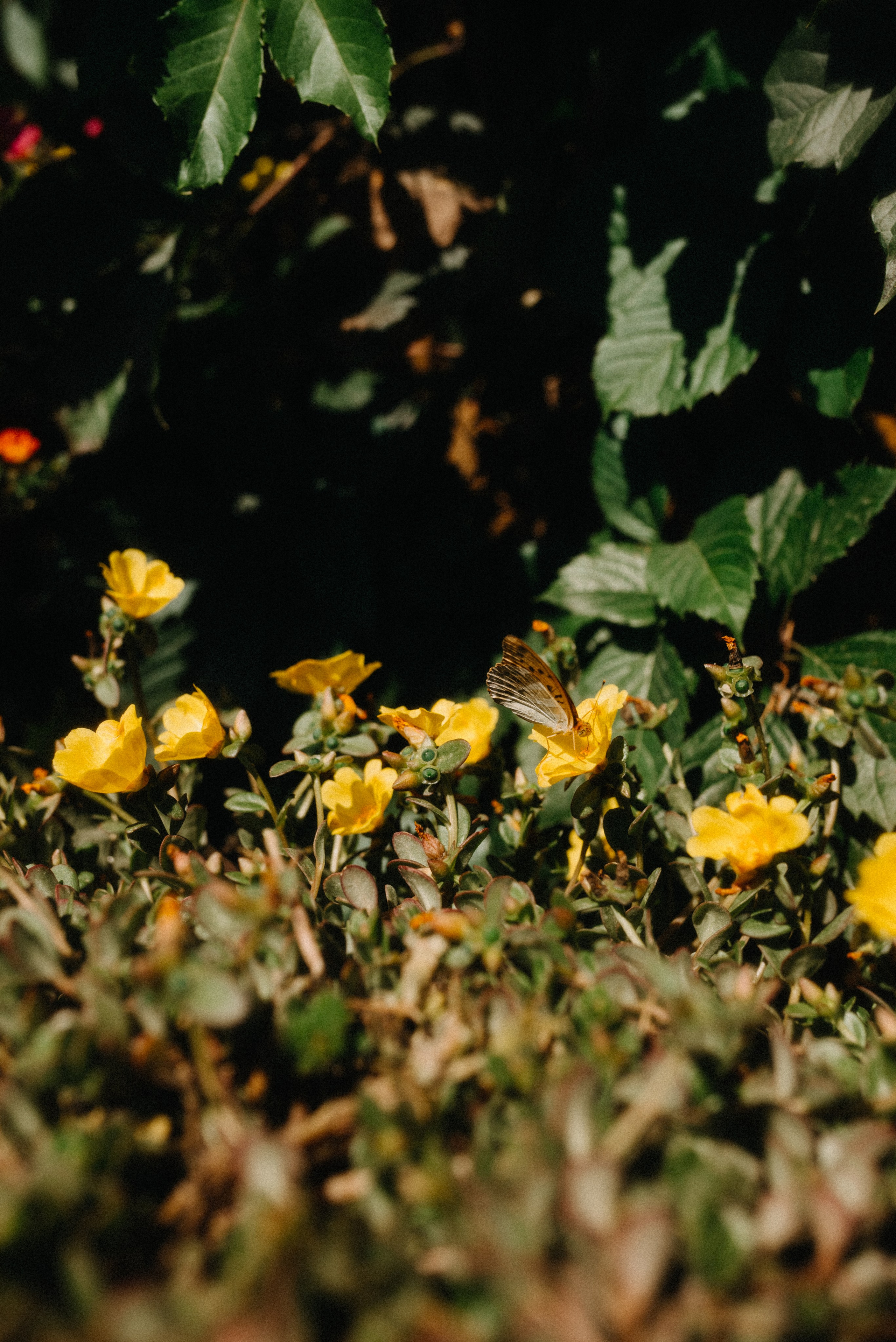 Девичник Виктории | Южная Озереевка. Фотограф Санкт-Петербург, Новороссийск