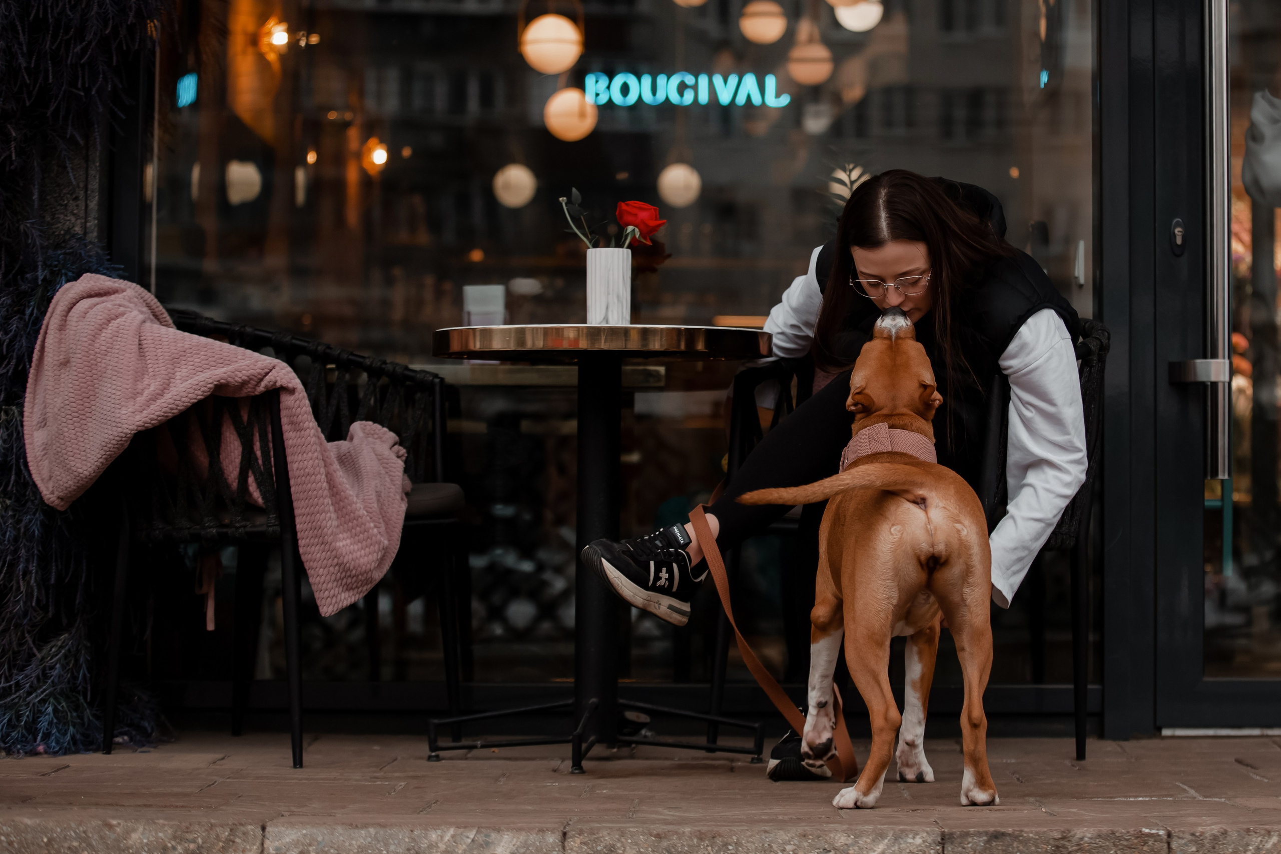 Американский стаффордширский терьер в Краснодаре. Фотограф-анималист в Краснодаре Маша Мельникова