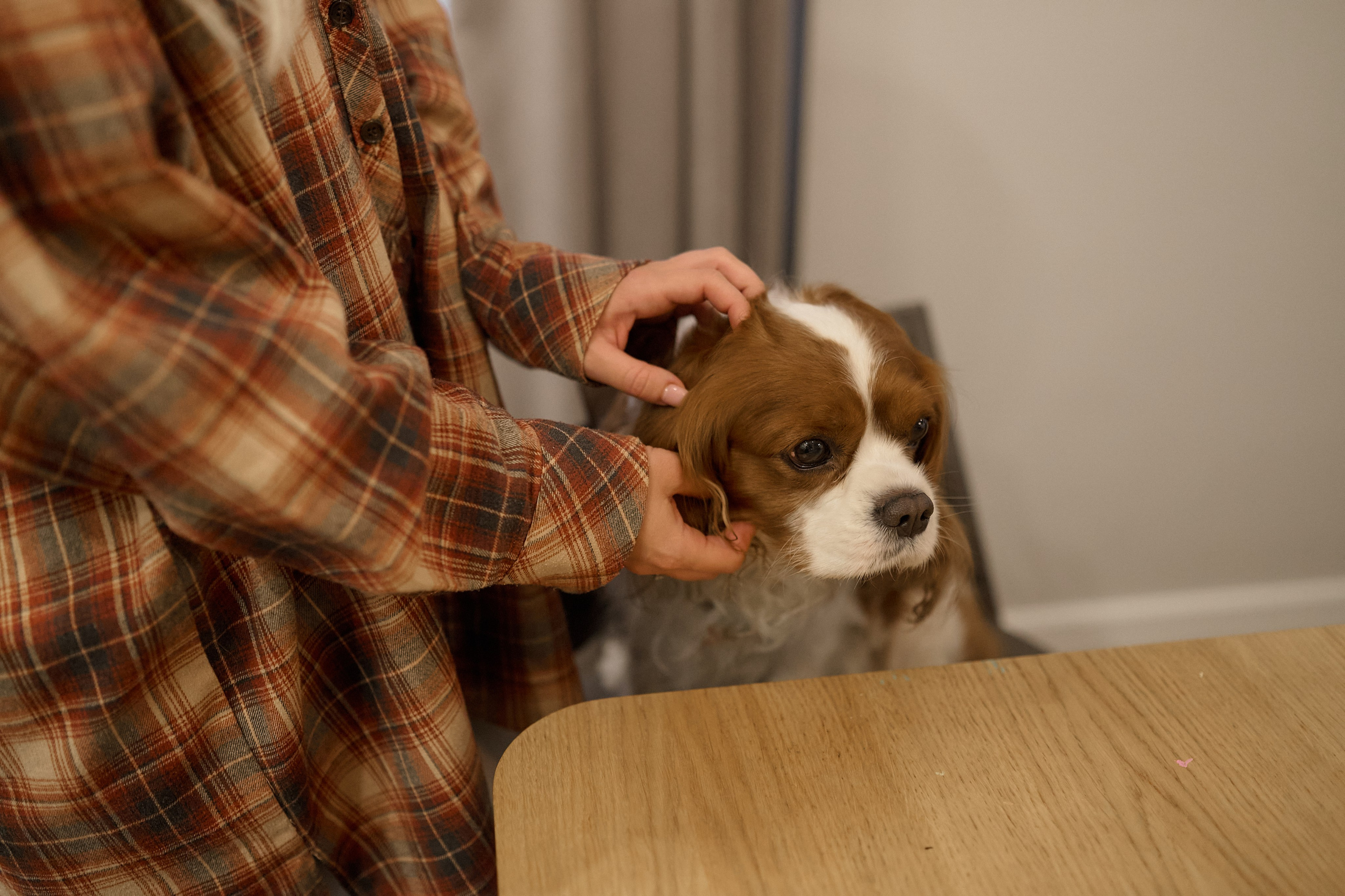 Серёжа, Вика, Макар и Кэш. Семейный и свадебный lifestyle-фотограф в Москве Мария Петрова