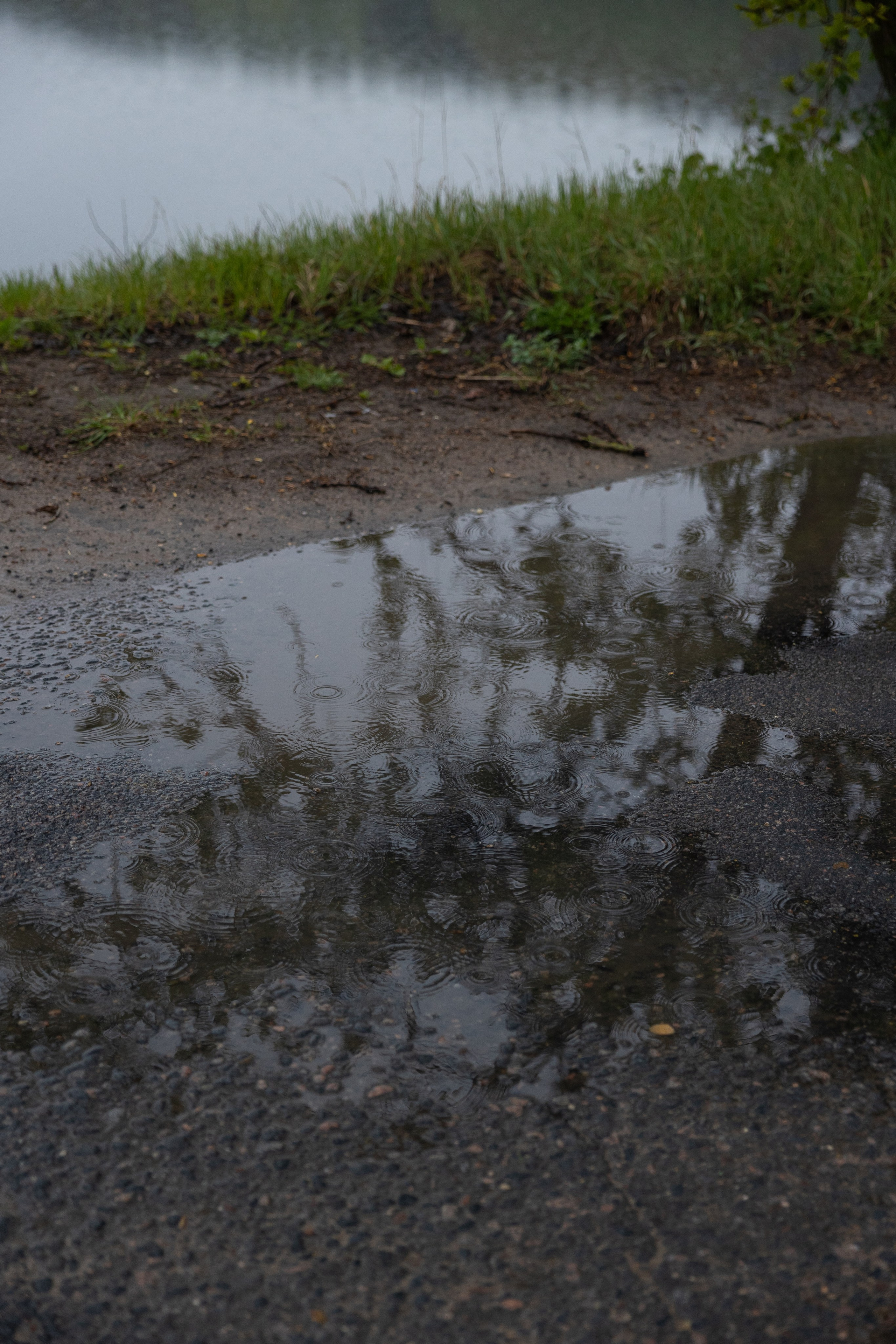 Ксения&Дима. Свадебный фотограф по всей Беларуси Цепелева Анна