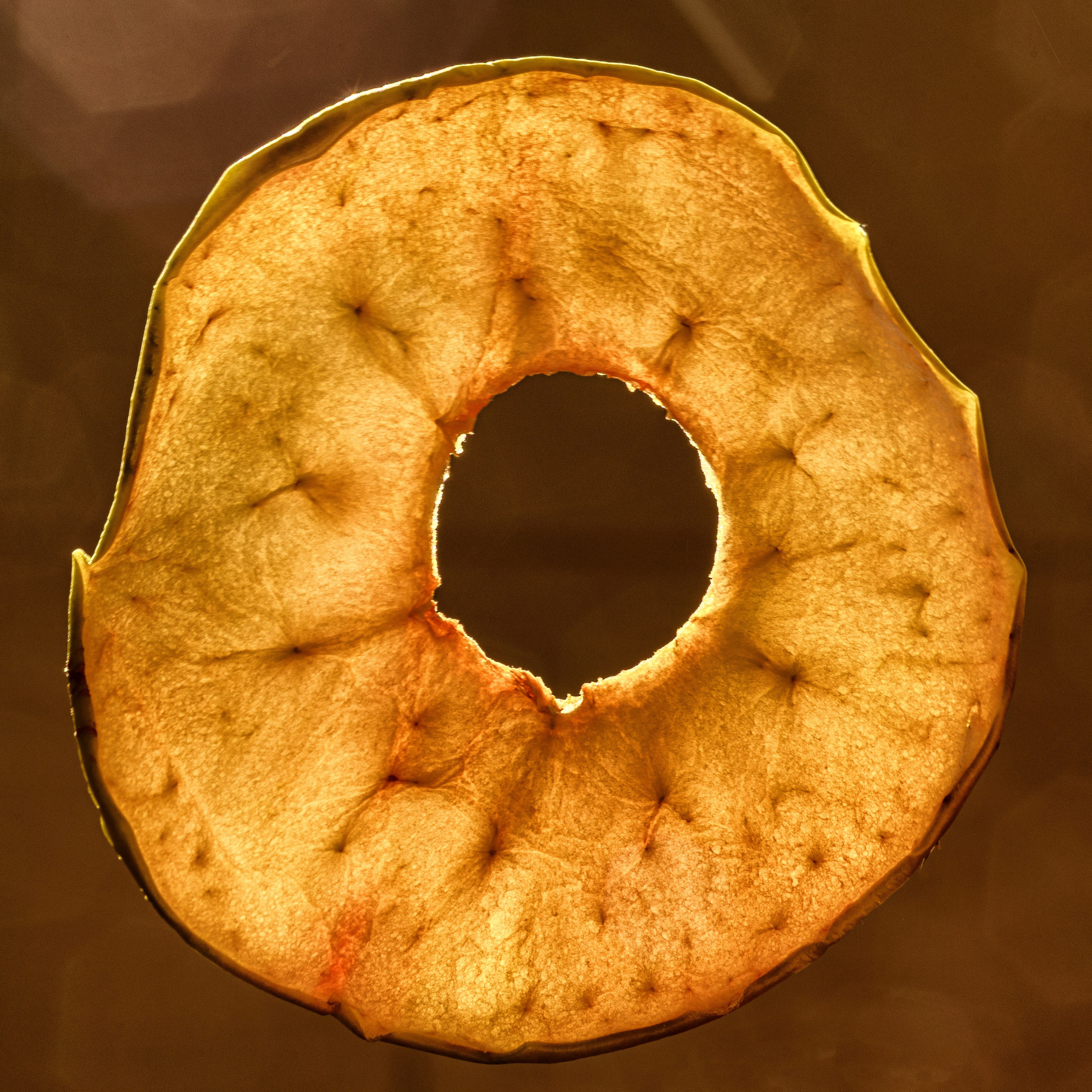 Сушеный ломтик яблока