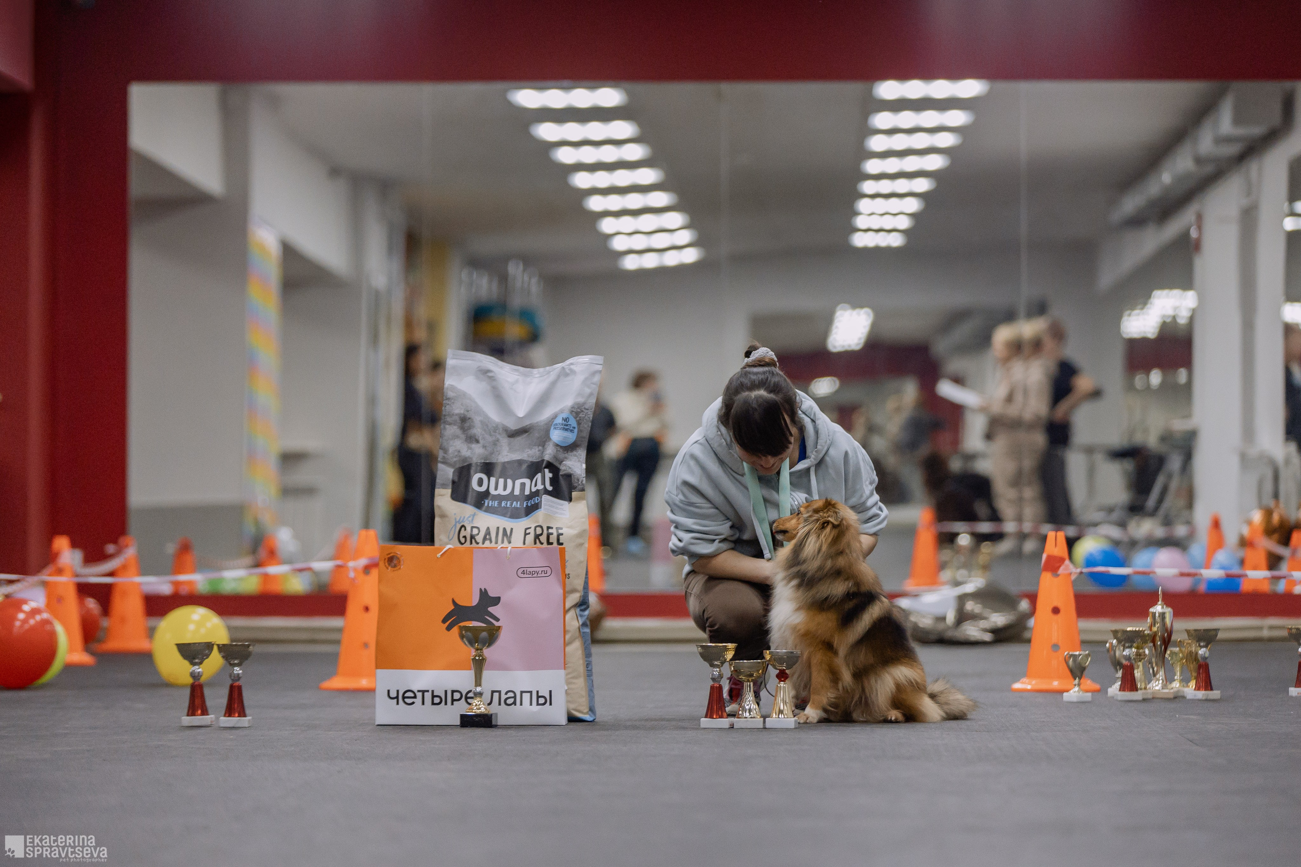 Праздник NoseWork. Фотограф Анималист Екатерина Справцева в Нижнем Новгороде