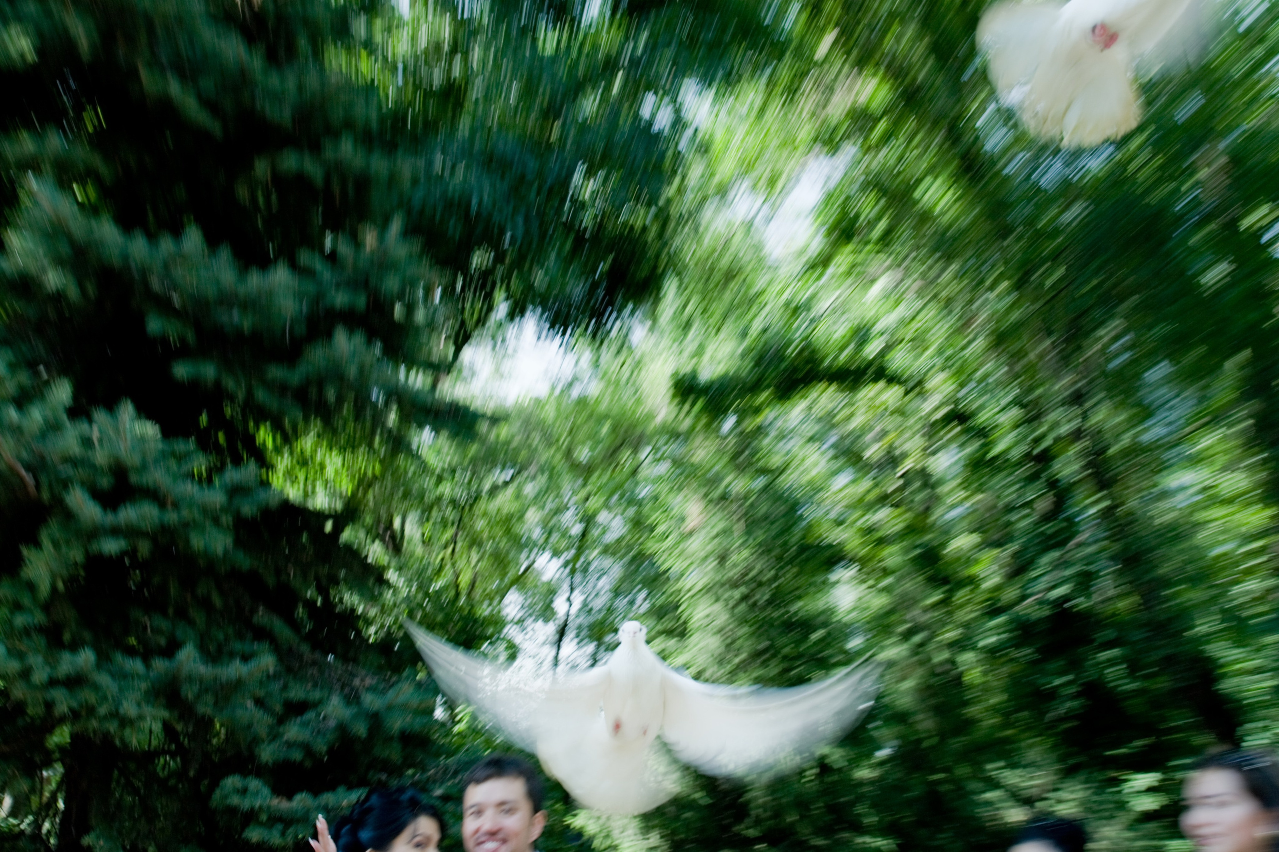 Портфолио. Свадебный и семейный фотограф в Воронеже Андрей Валин