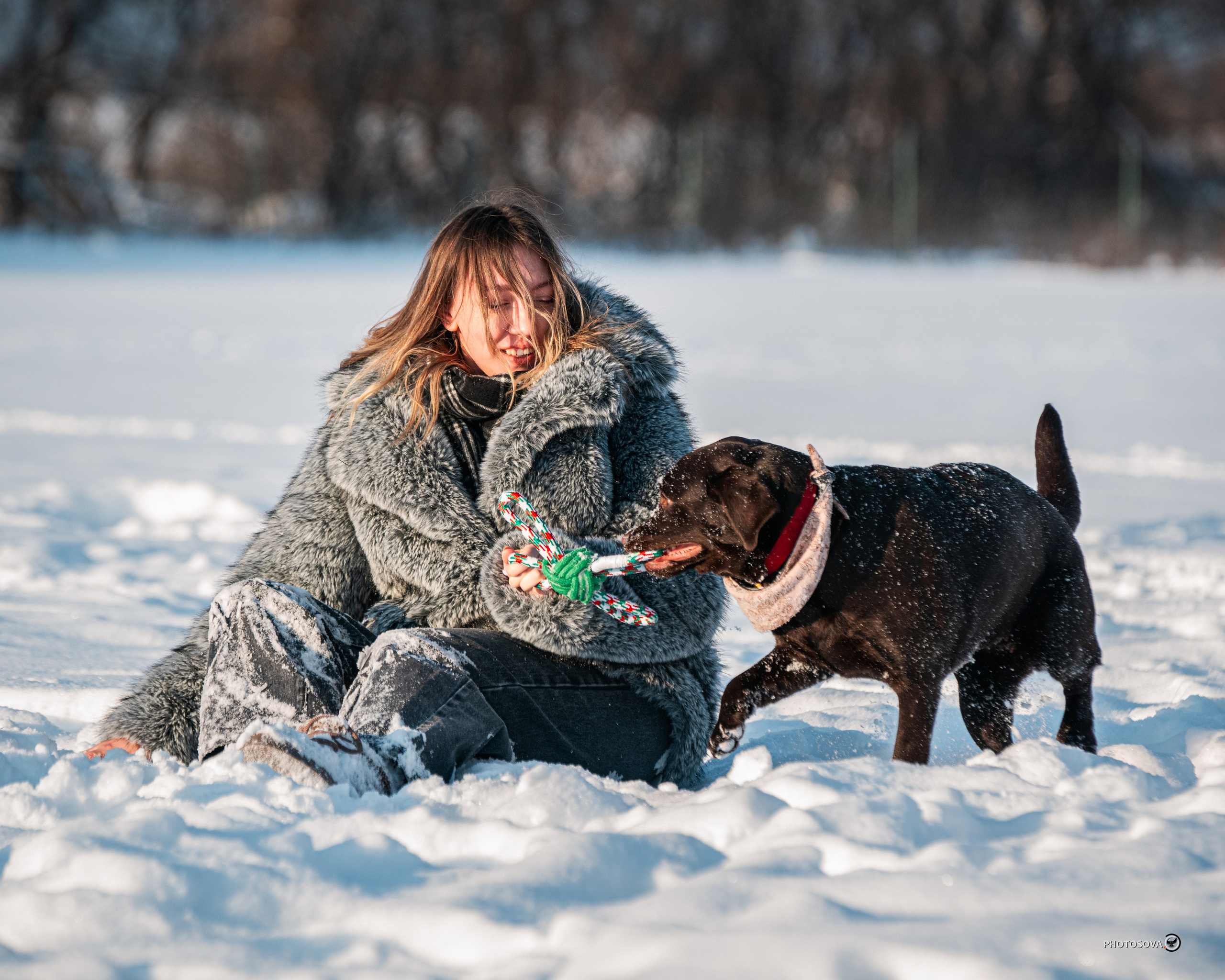 ФОТОПАМЯТЬ ВАШИХ ЭМОЦИЙ. Фотограф-анималист, семейный фотограф в Москве и Подмосковье. Фотосъёмка кинологических дисциплин