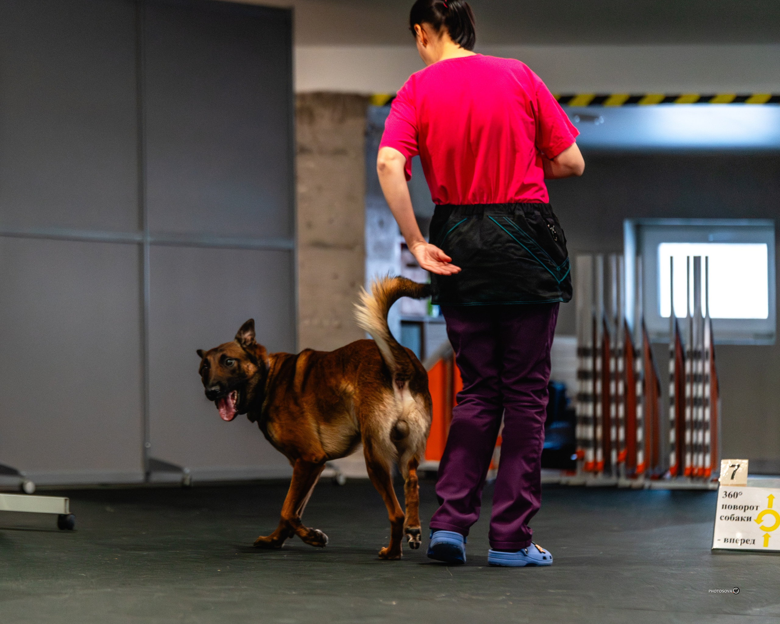 ТЫ И Я (соревнования по ралли-обидиенс). Фотограф-анималист, семейный фотограф в Москве и Подмосковье. Фотосъёмка кинологических дисциплин