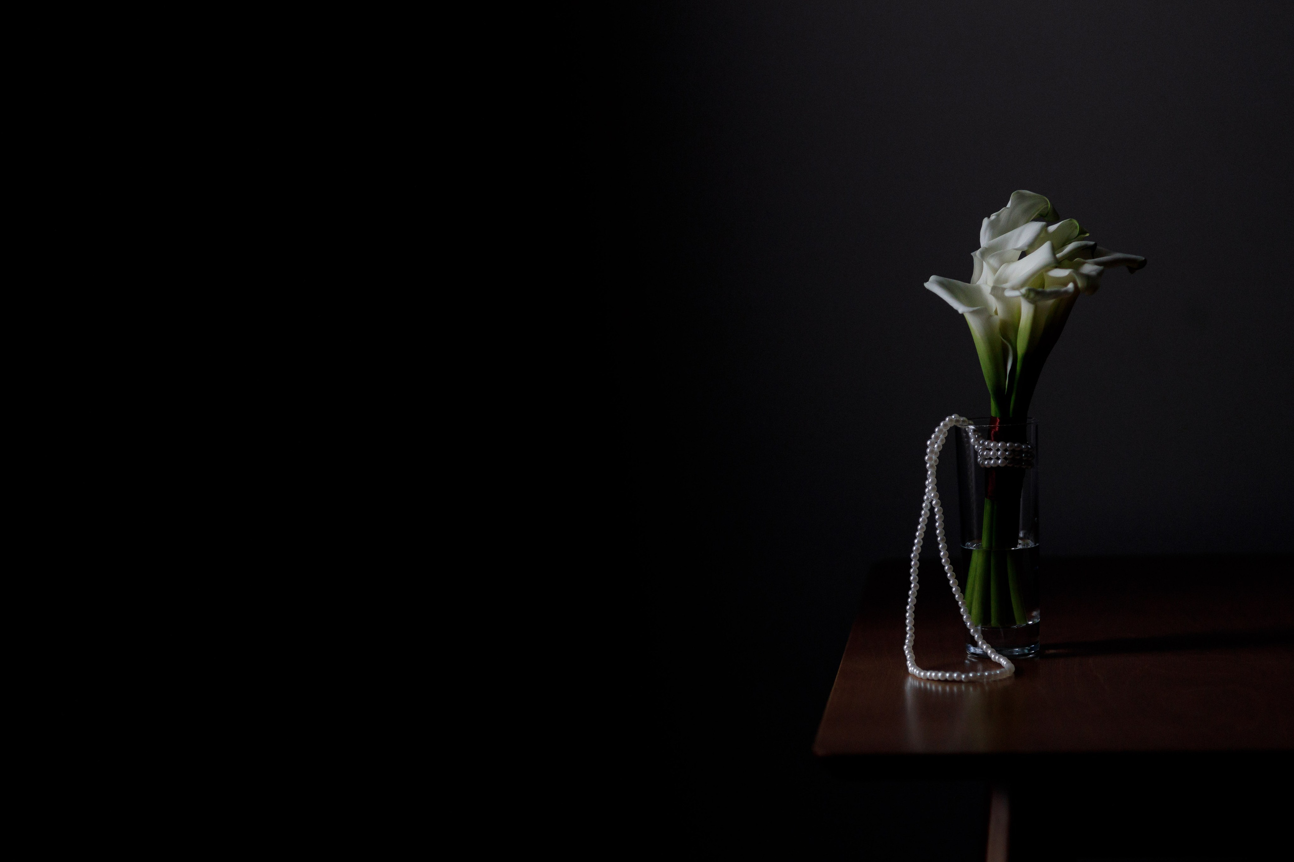 Александра и Николай. Фотограф Дарья Норкина