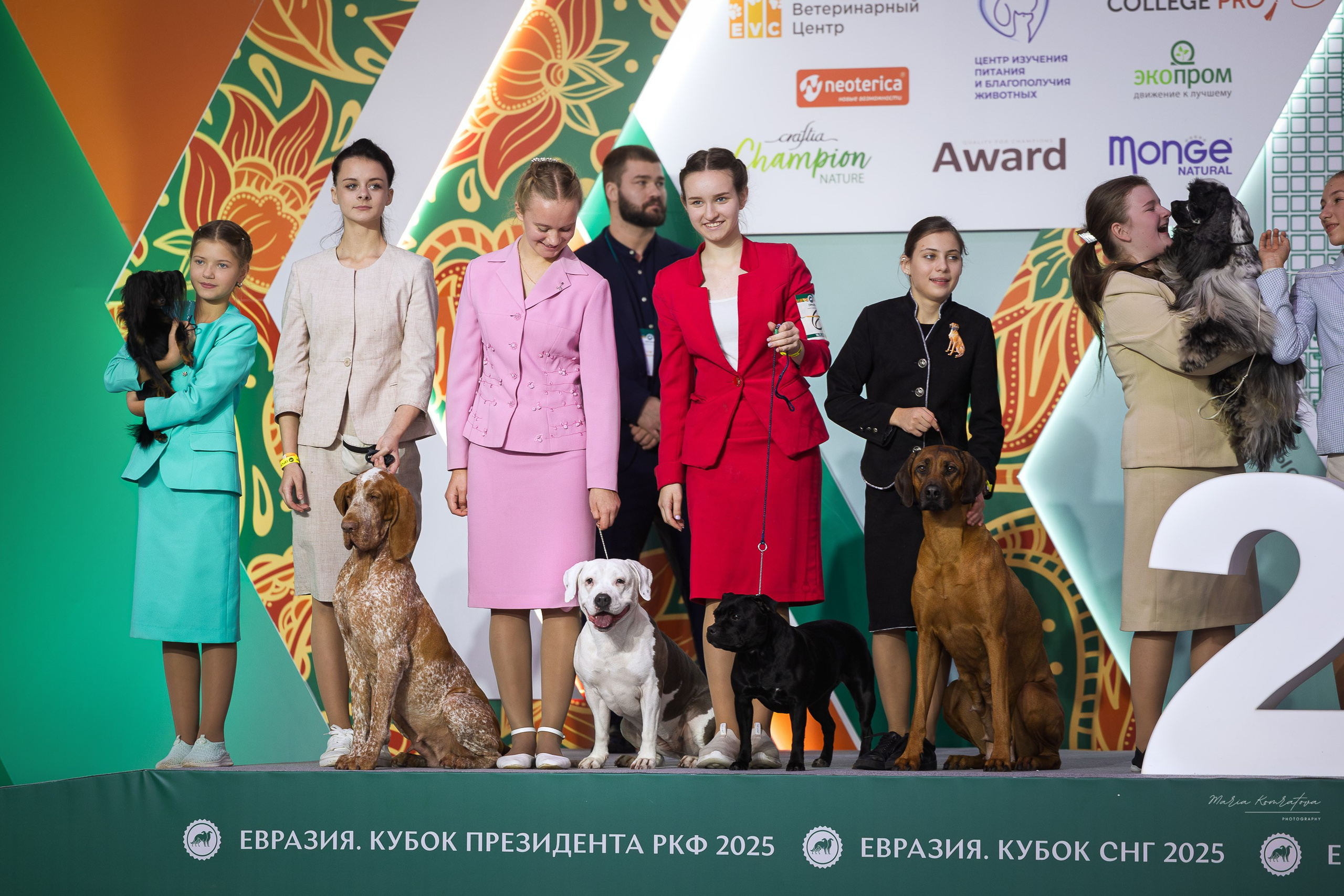 Евразия 2025 съемка в ринге на выставке собак, фотограф собак на выставке. Фотограф анималист, семейный фотограф, фотограф собак Комратова Мария. г. Москва