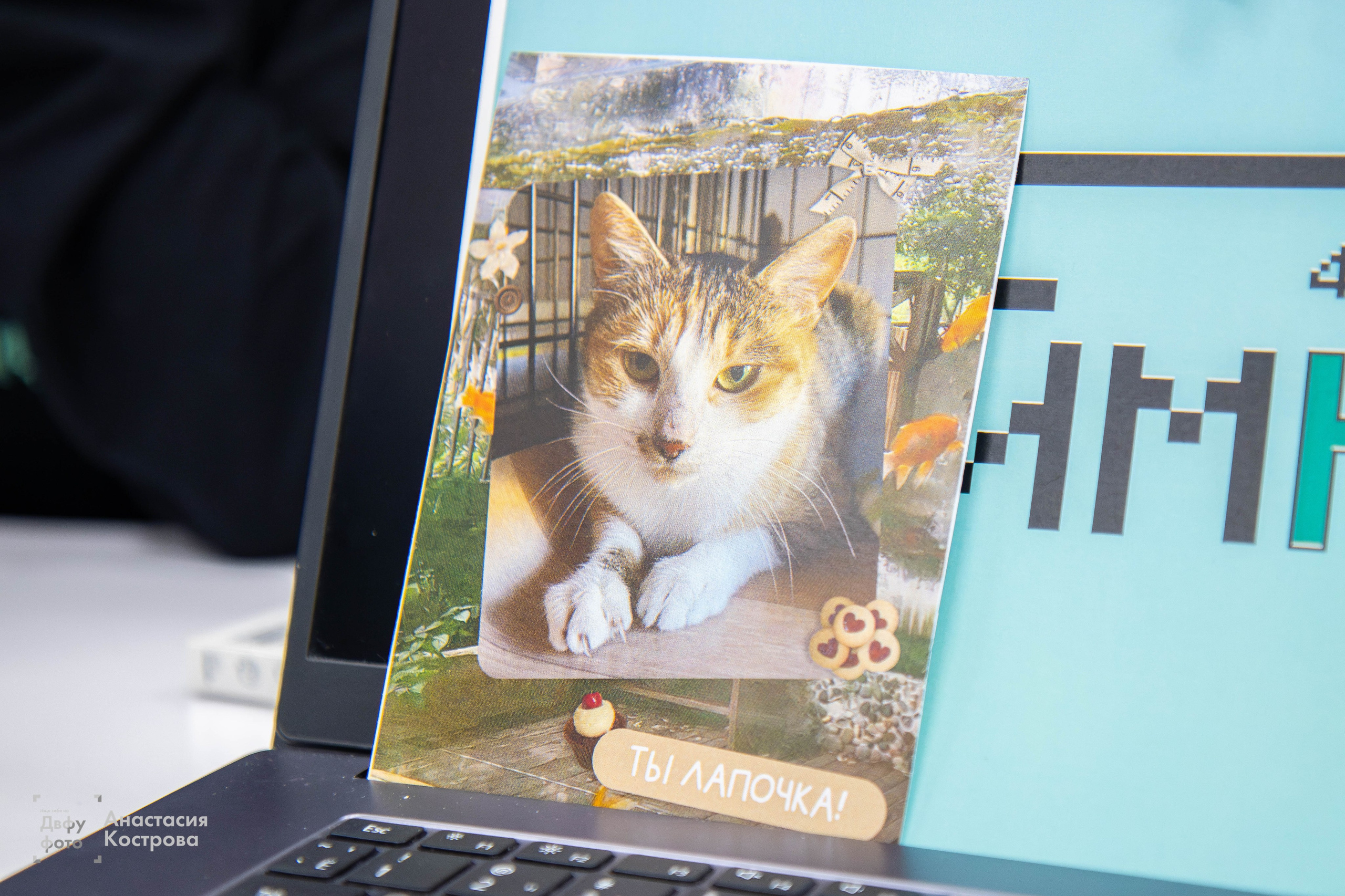 Ярмарка вакансий «Эд.хант». Репортажный фотограф во Владивостоке Анастасия Кострова