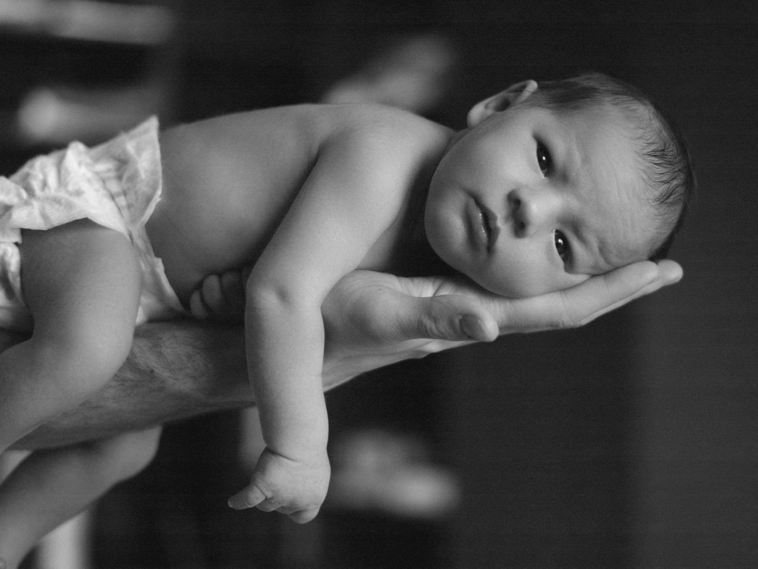 Мироша. SHILOVA PHOTO. Шилова Екатерина. Фотограф. Москва