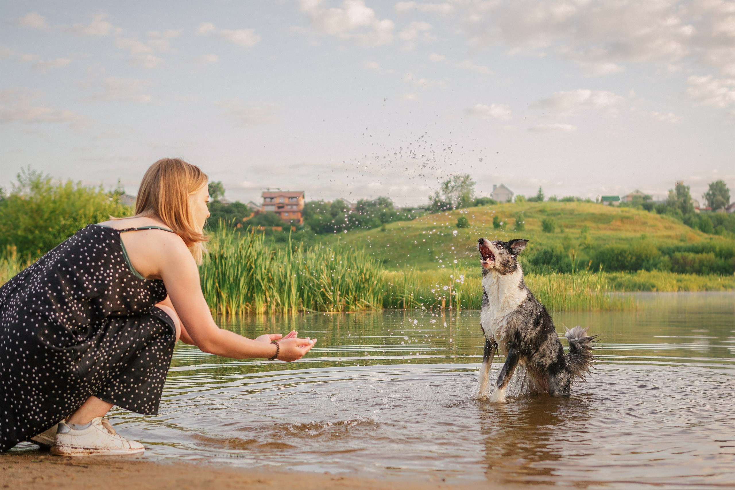 Таня и команда на рассвете. Фотограф анималист Кузнецова Анна Нижний Новгород