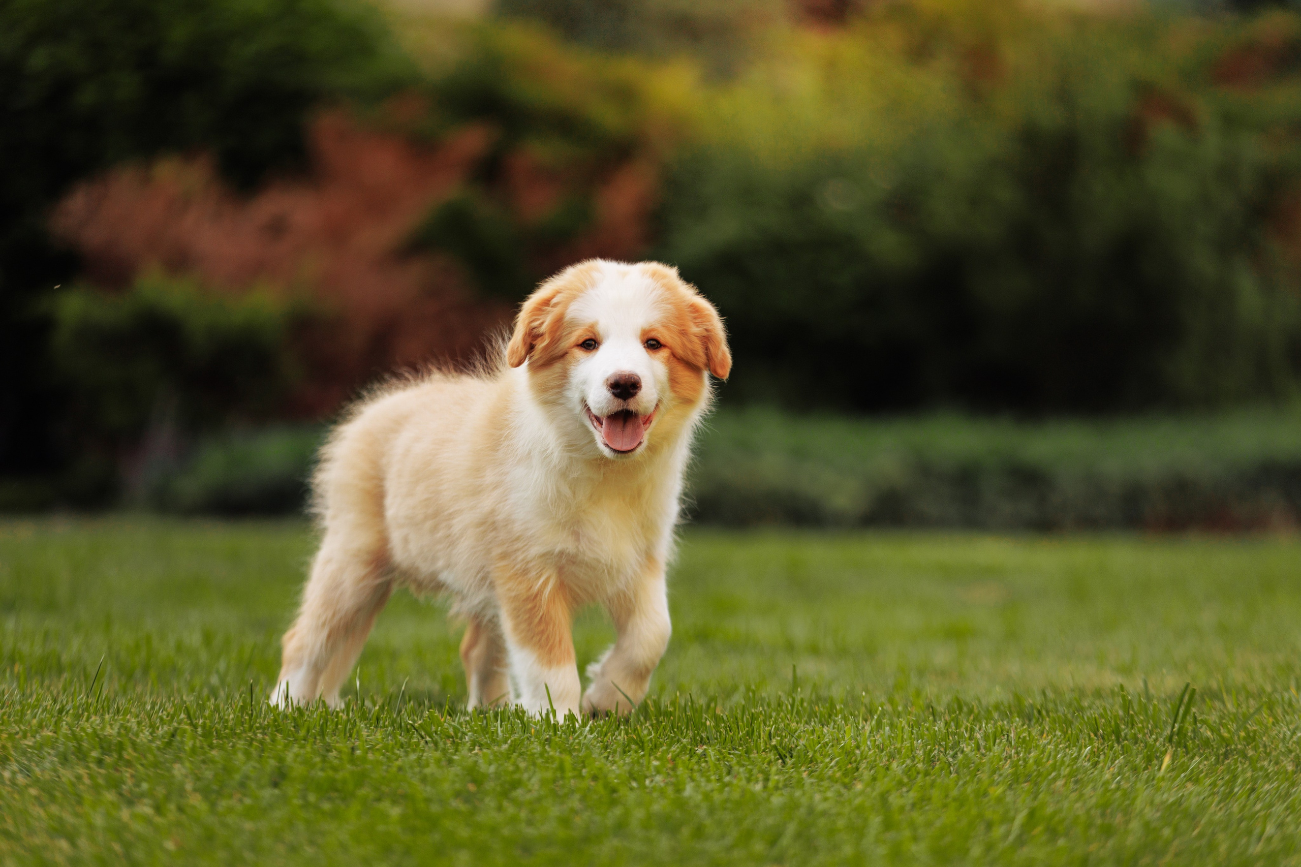 СОлнечные. О нас