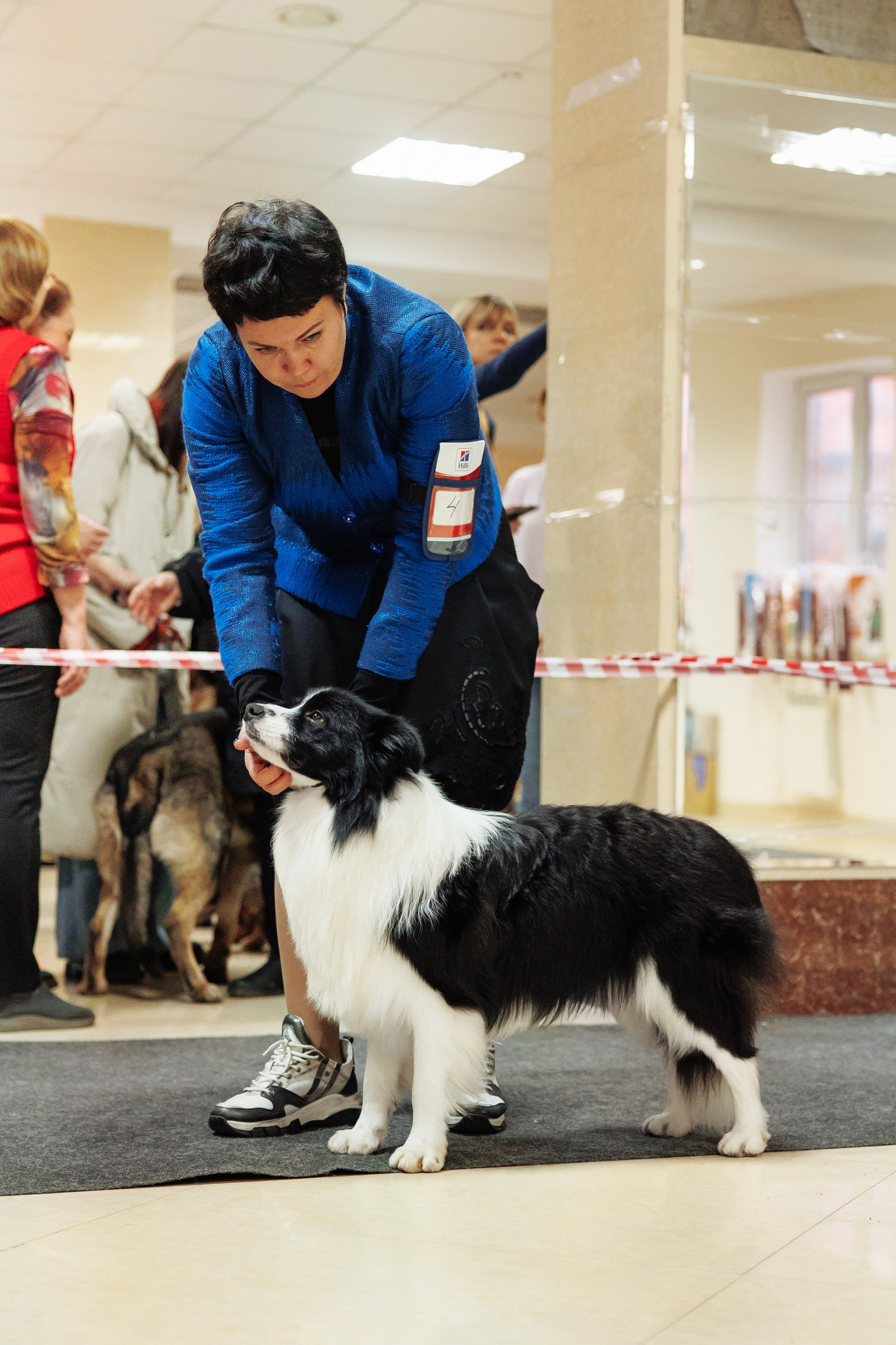 Zenith Mystique Regni — Дени. О нас