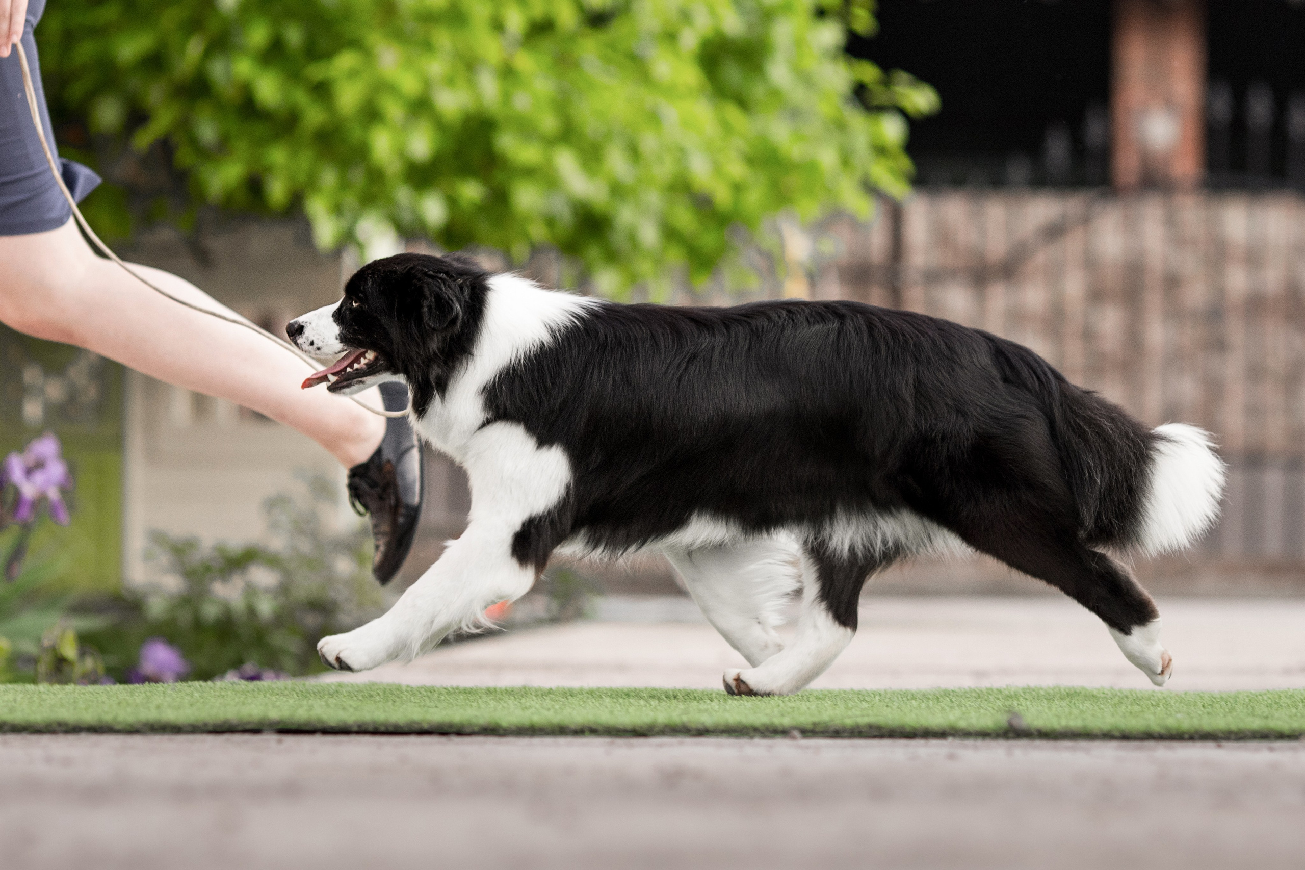 Роскошь в ростошах. О нас
