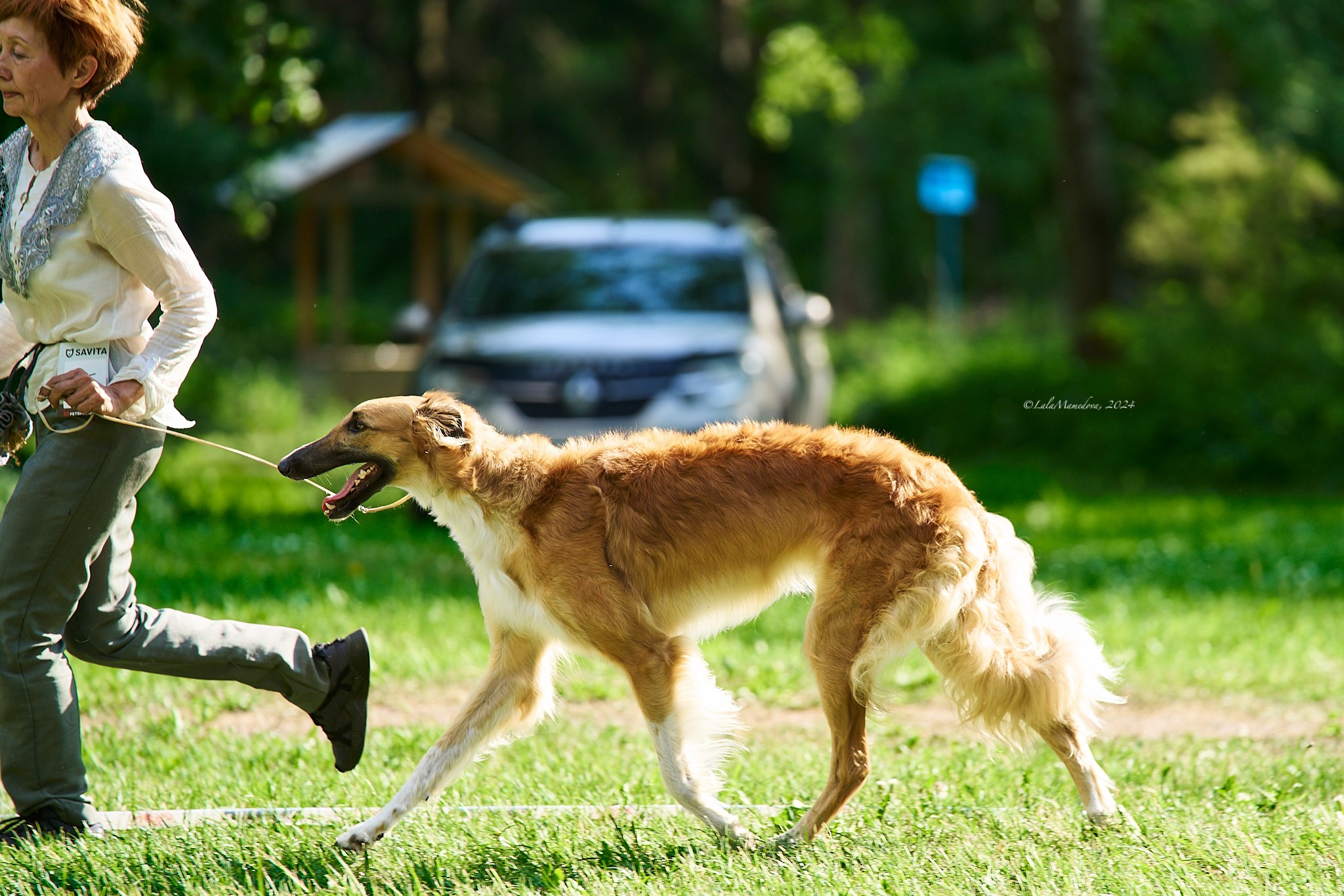 Памяти Евгении Фёдоровны ДЕЗОР