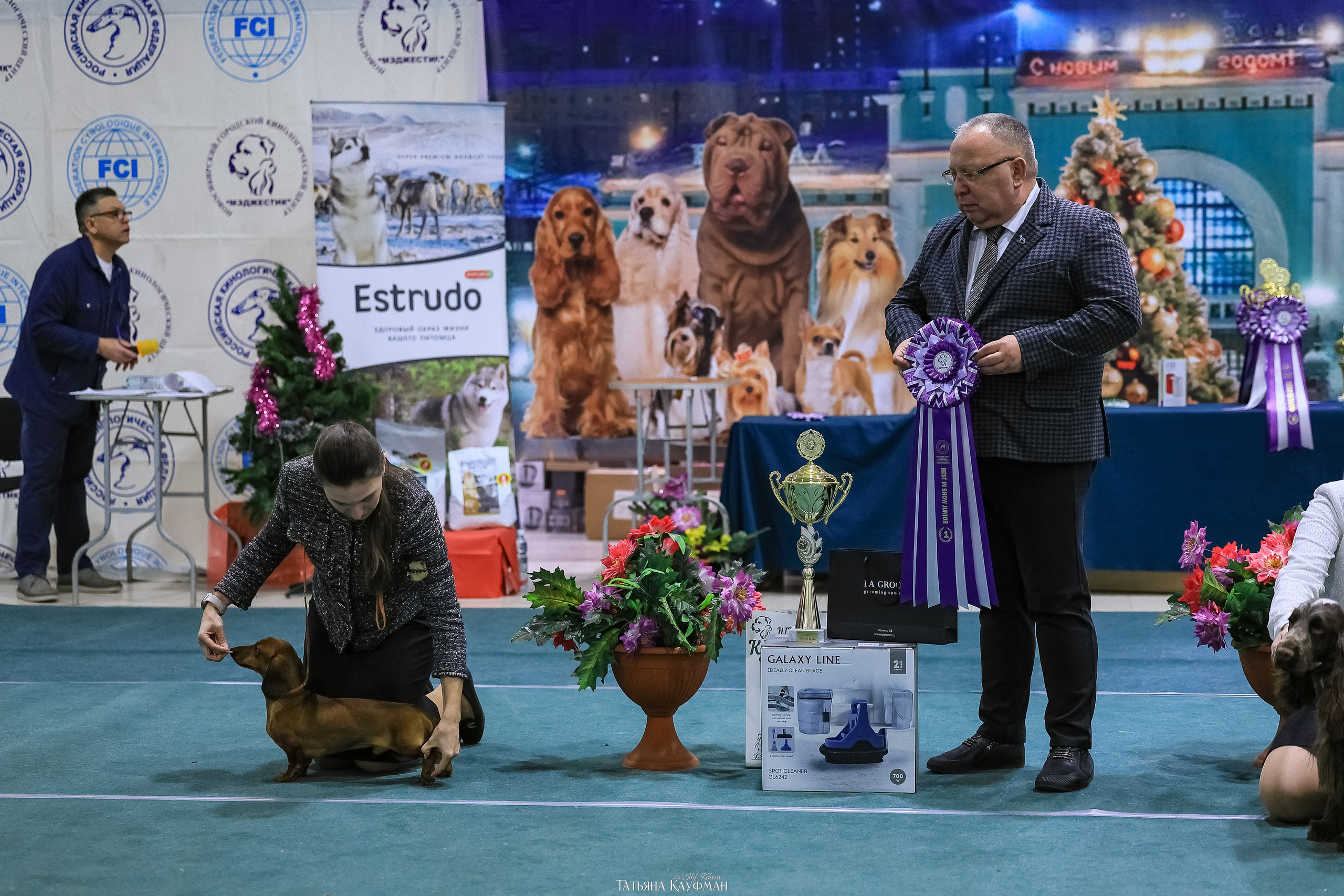 6-7.12.25 — 1-4 Национальные выставки собак в Новосибирске (2х рейтинговые). Фотограф Анималист из Новосибирска Татьяна Кауфман