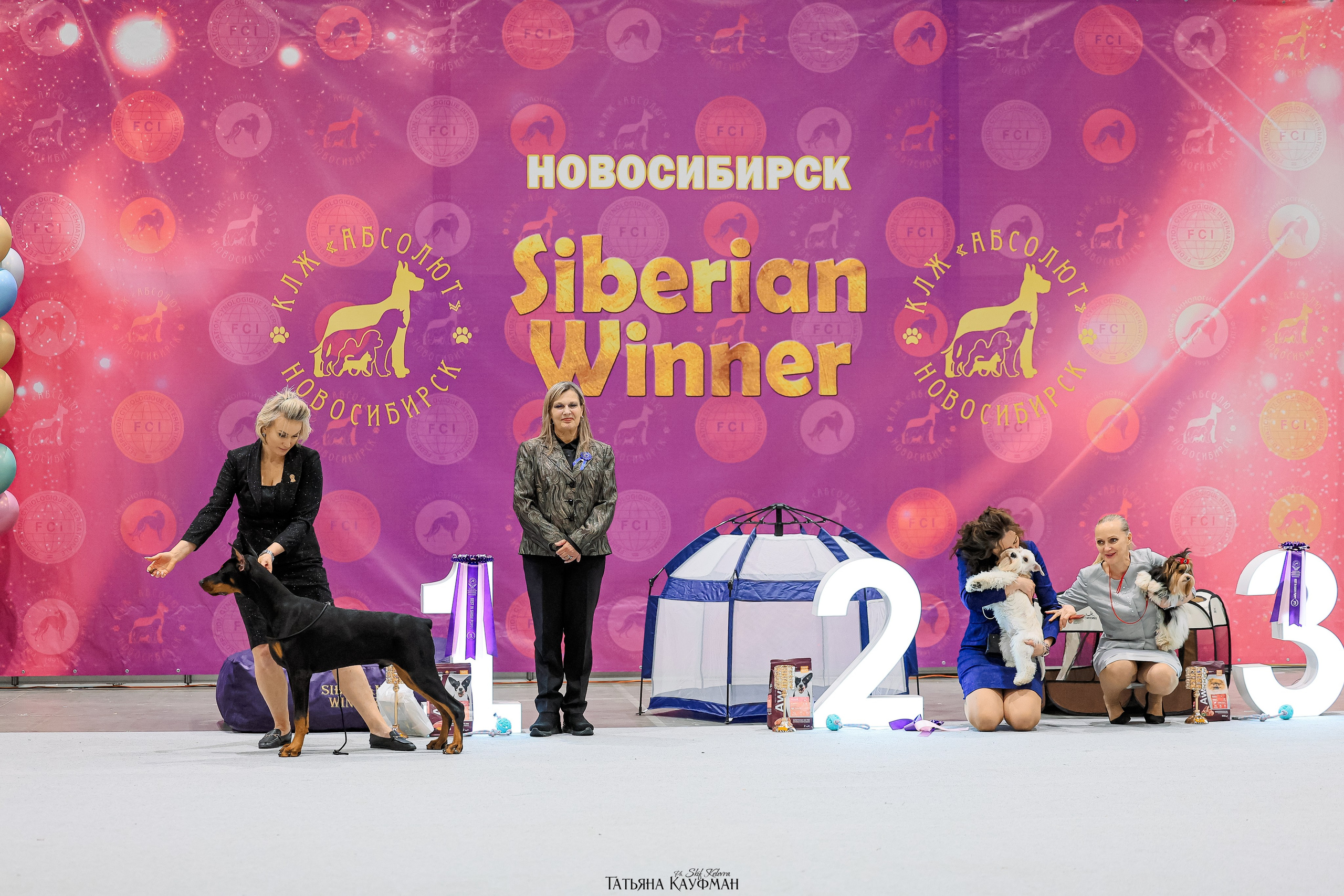 28-29.03.2026 Рейтинговая выставка в Новосибирске. Фотограф Анималист из Новосибирска Татьяна Кауфман