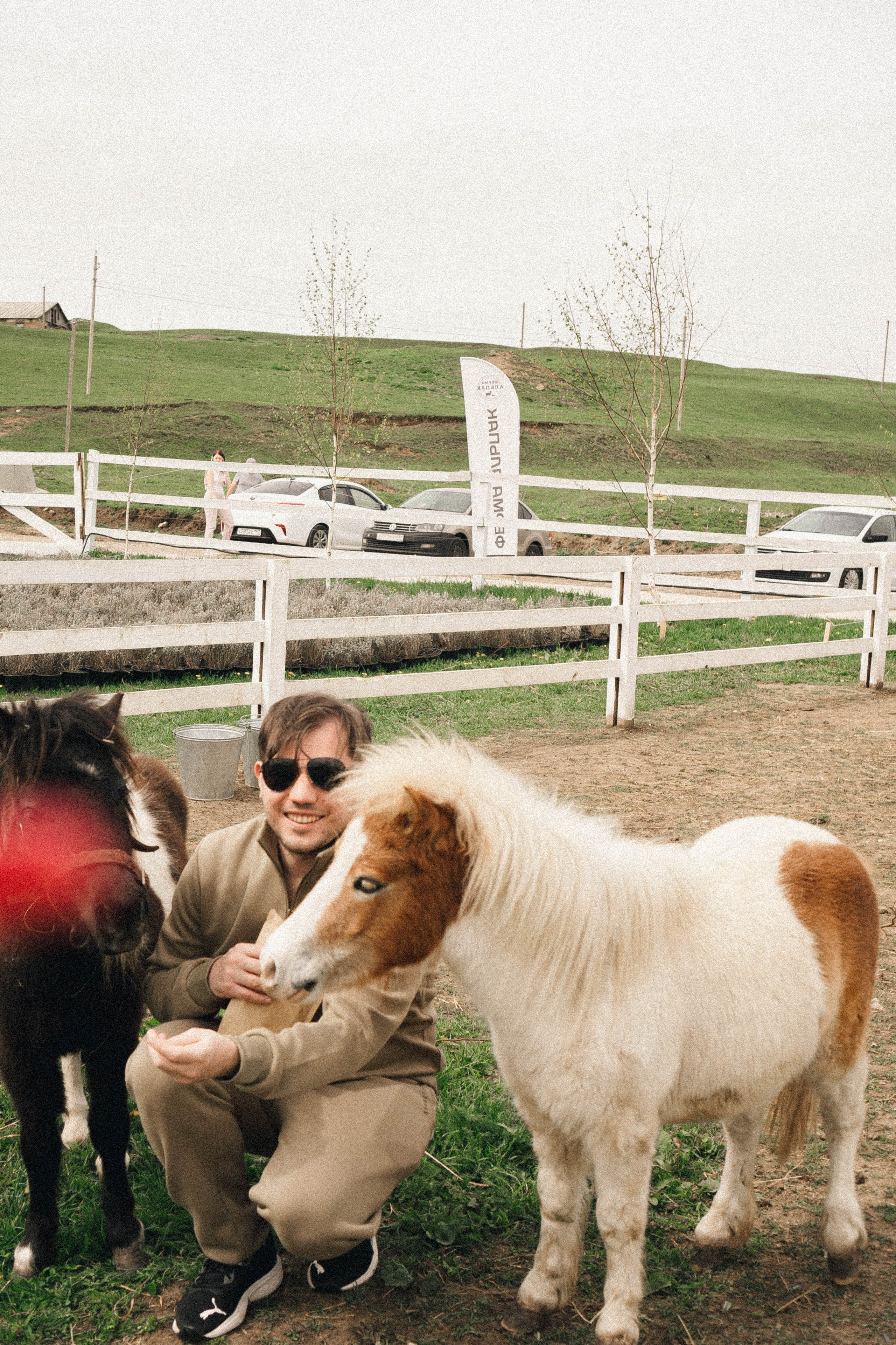 Ферма Альпак. Профессиональный фотограф, Санкт-Петербург — Виктория Богомолова