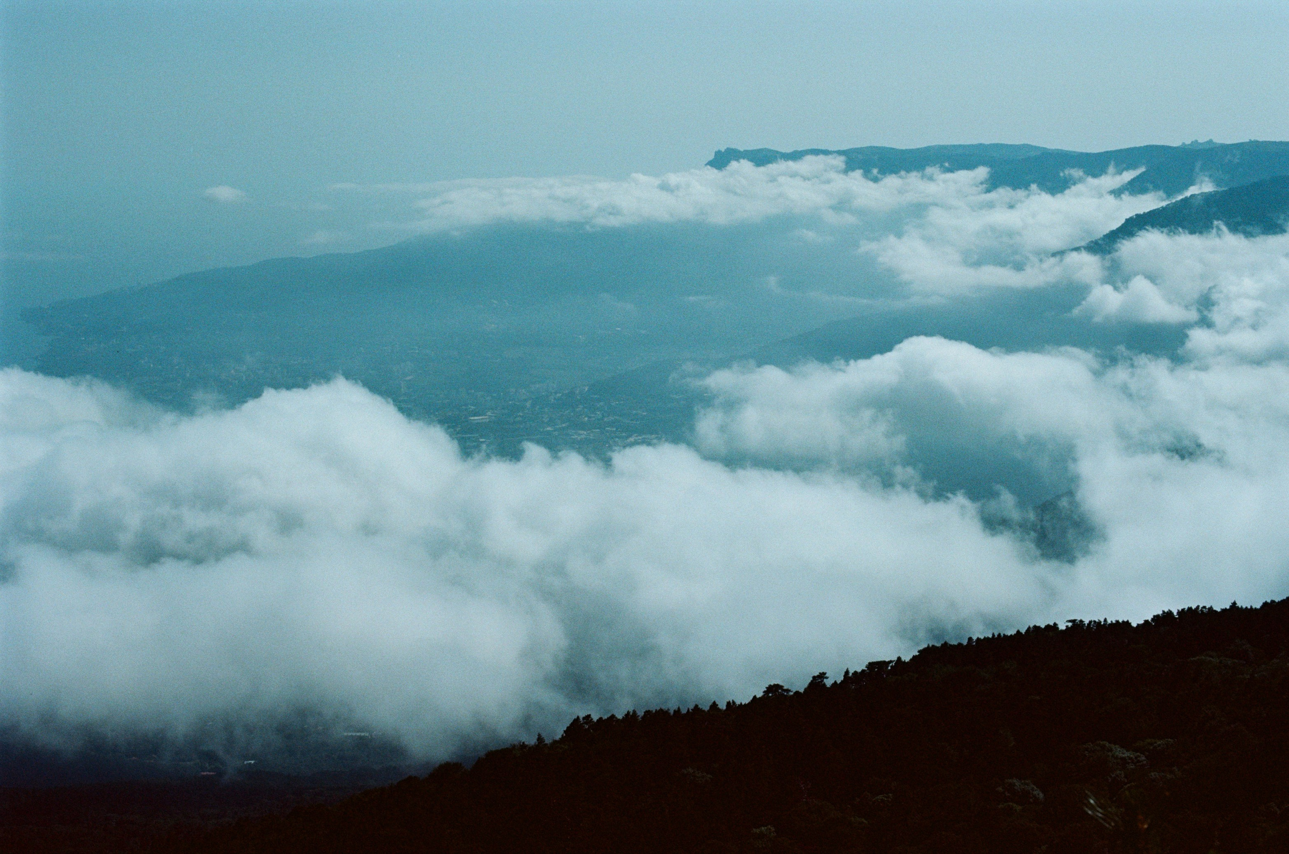 Kool-aid // ukraine, crimea II. EVER EXPOSED