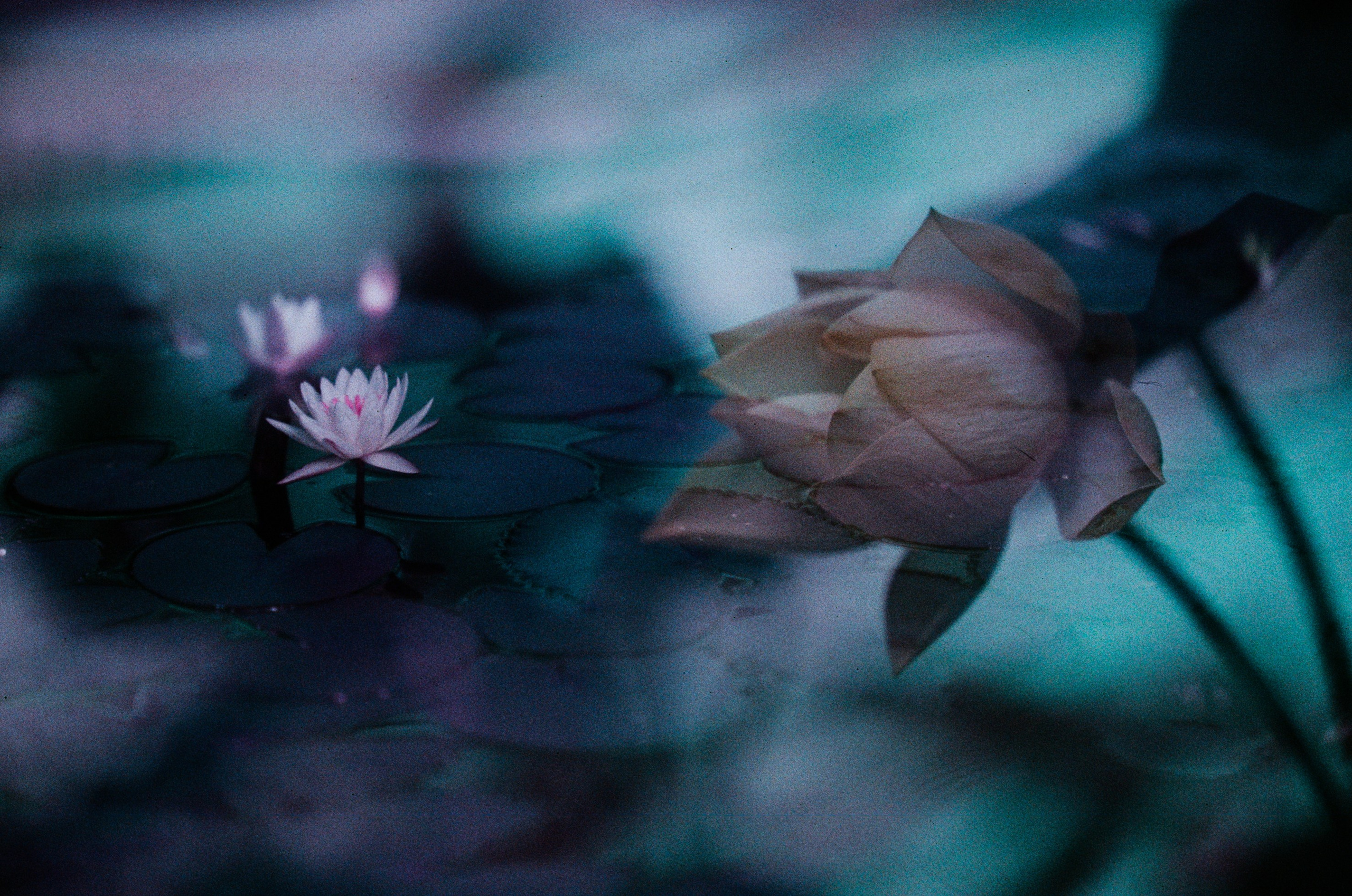 Everything i could never say to you. EVER EXPOSED